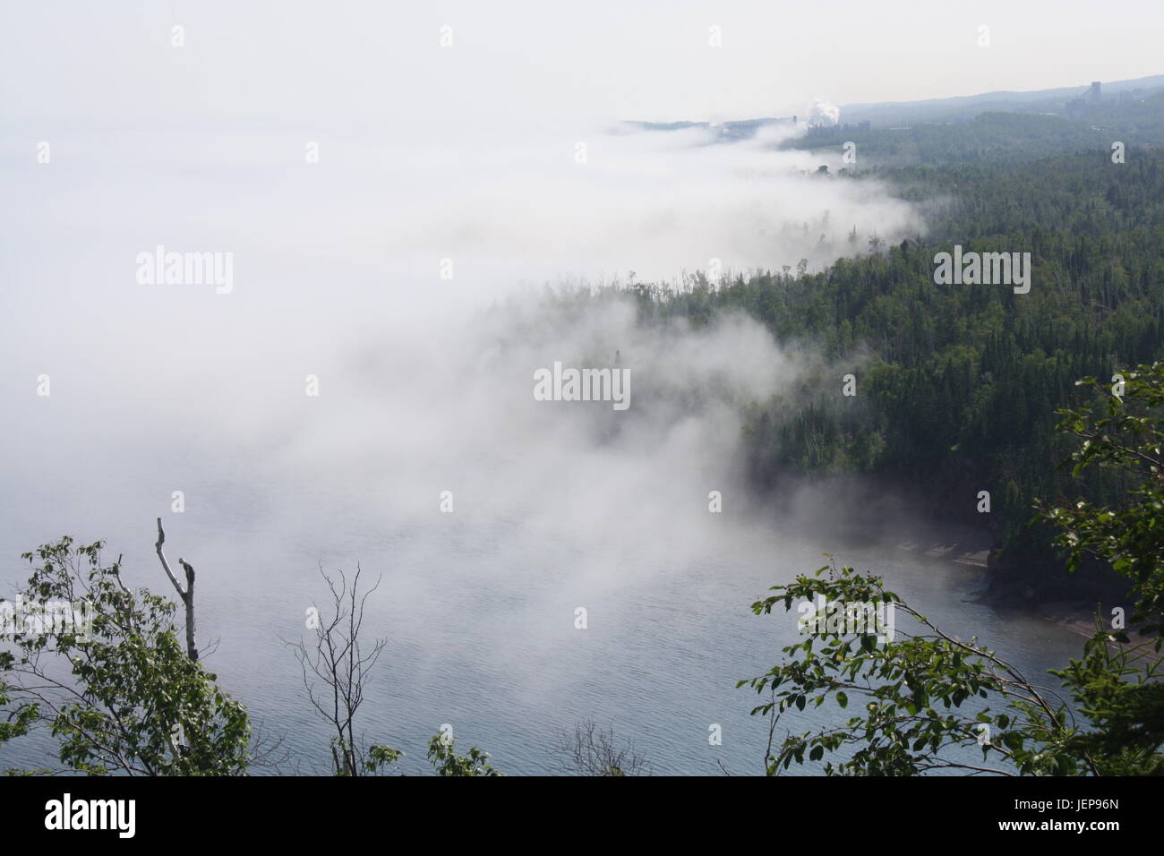 The thick ghostly white fog creeps over the trees Stock Photo - Alamy