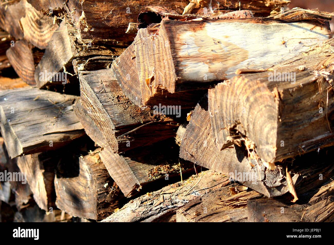Firewood, Stacked, Seasoned, and Ready to Burn Stock Photo
