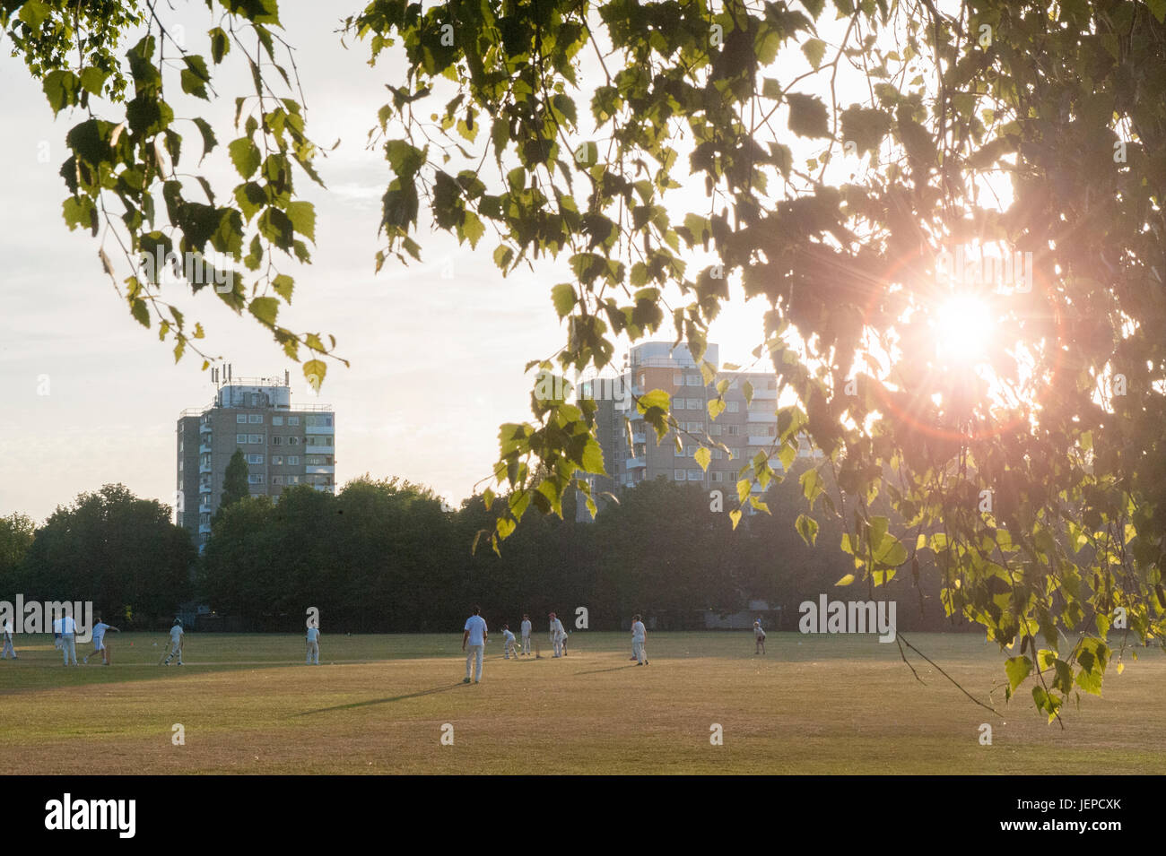 Evening cricket at dusk in London Stock Photo