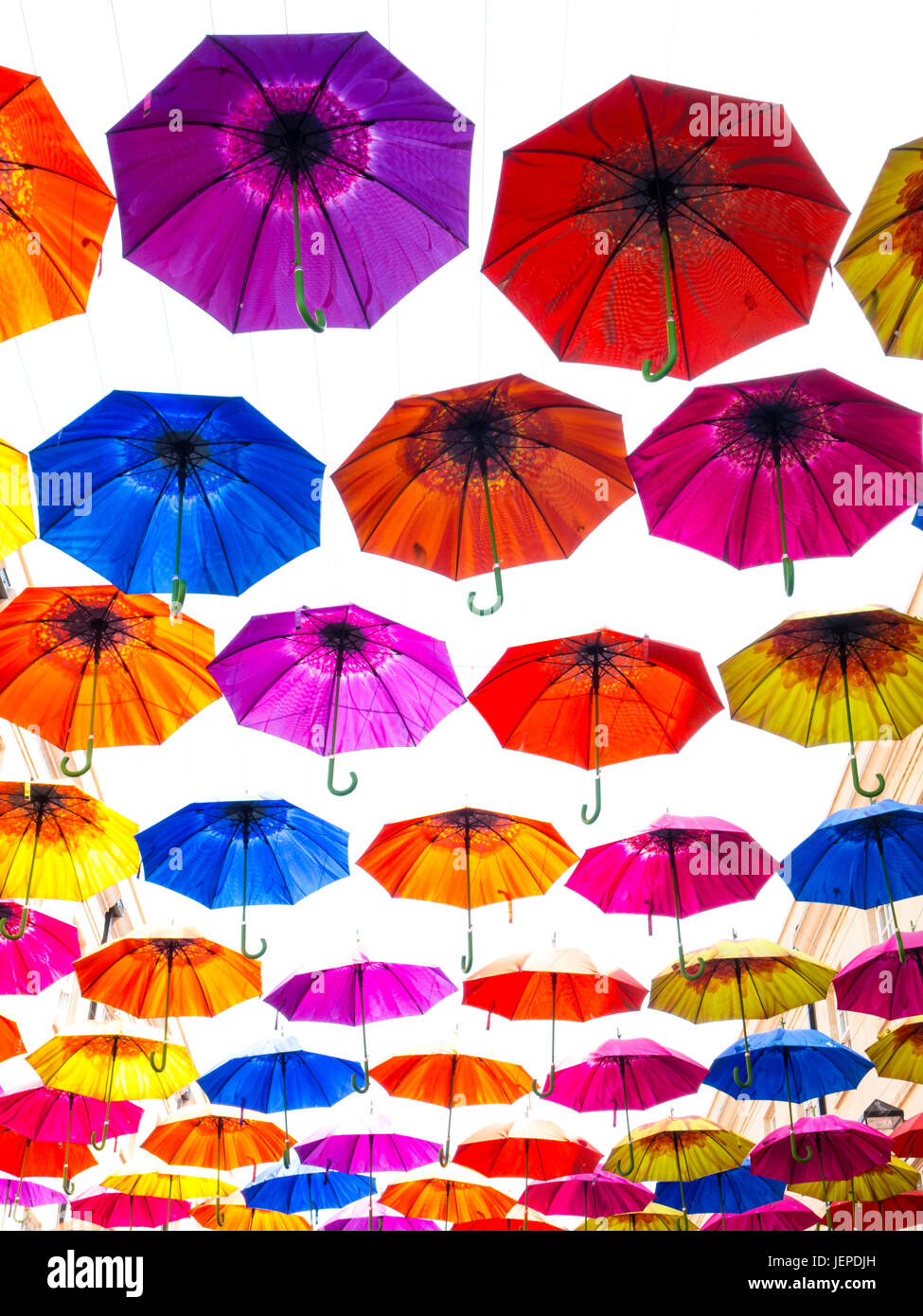 bright coloured umbrellas