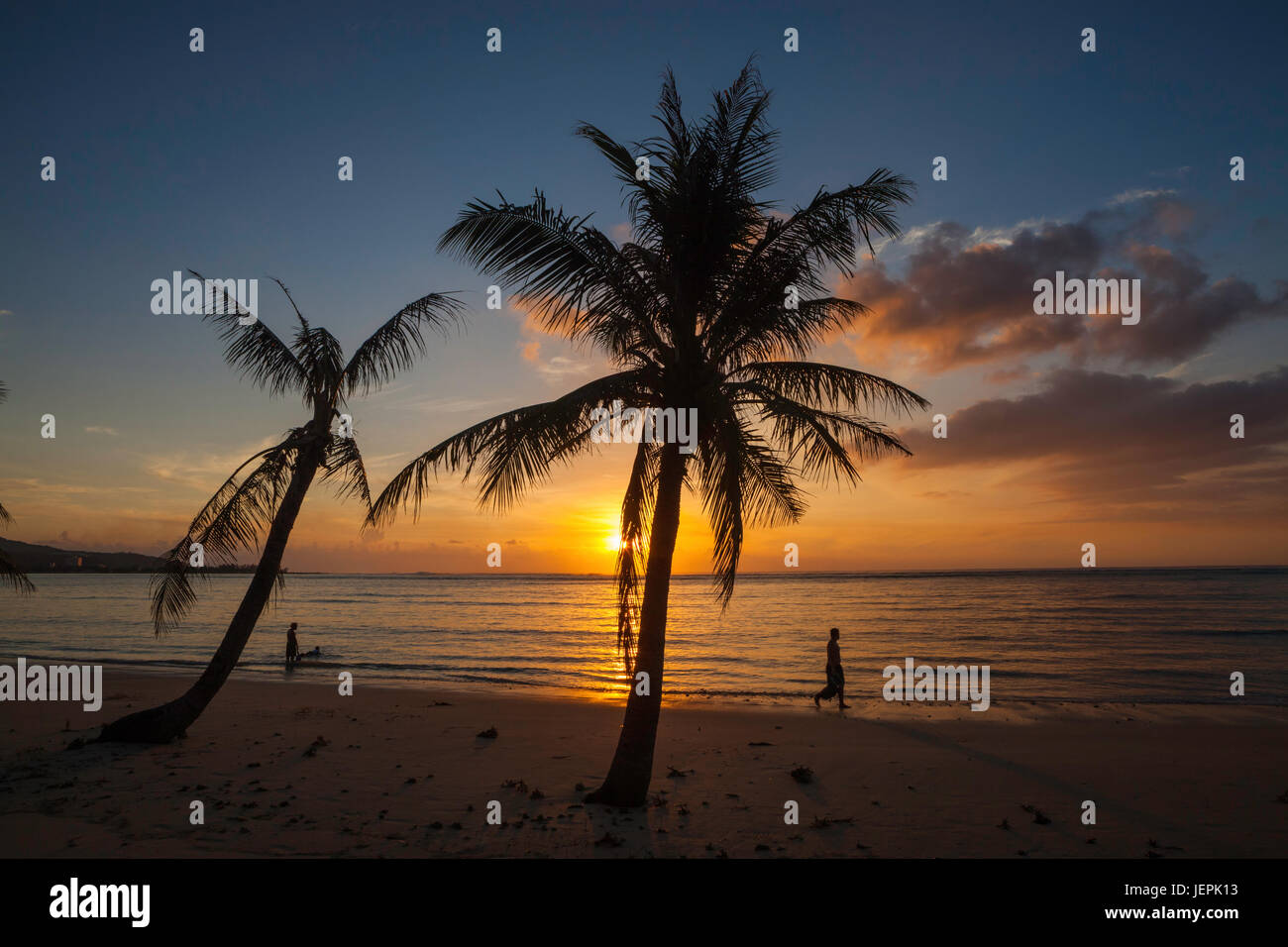 Palm trees at sunset, Agana Bay, Guam Stock Photo