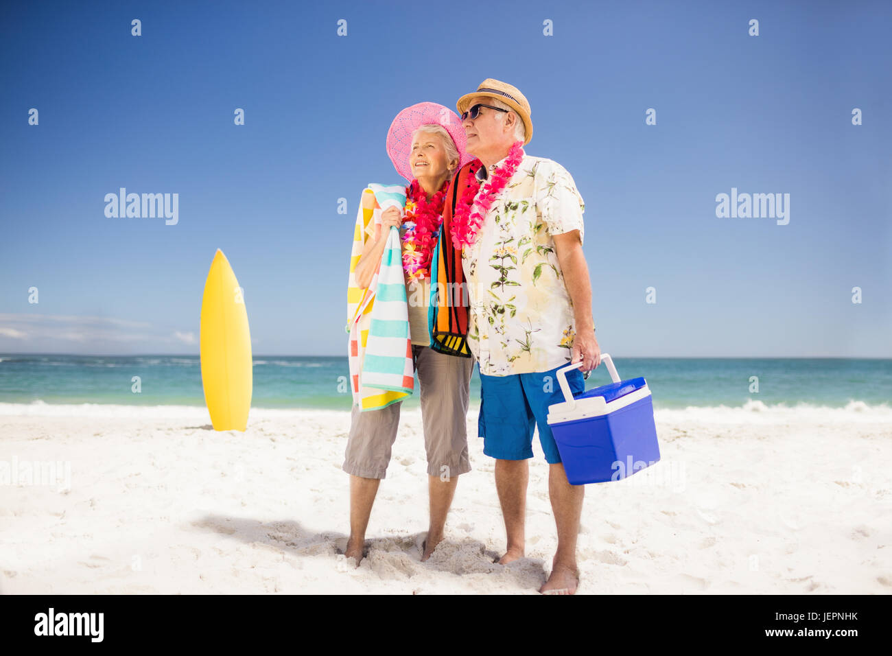 Senior couple holding icebox Stock Photo