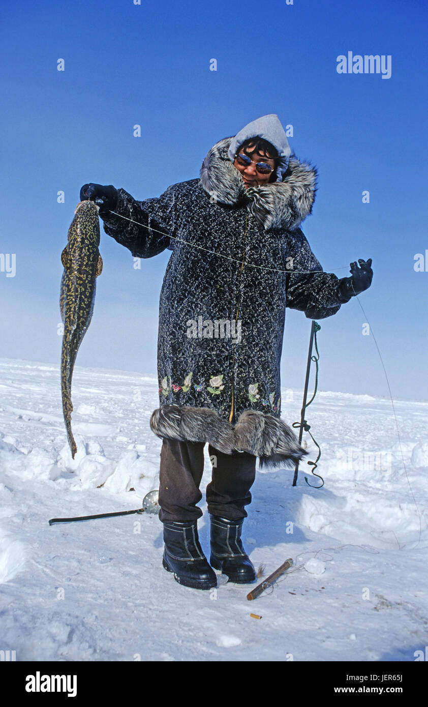 Inuit woman from Nuiqsut, in the extreme north of Alaska in the arctic ocean conveniently with caught travelling char, Alaska, Inuitfrau aus Nuiqsut,  Stock Photo
