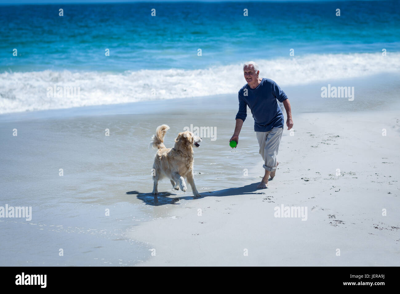 Man throwing ball for dog hires stock photography and images Alamy