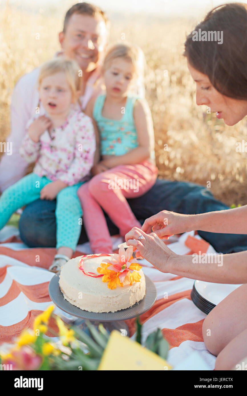 Woman cutting cake at picnic Stock Photo