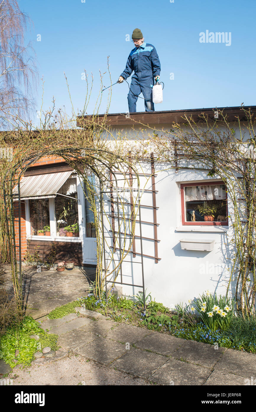 Man clearing roof Stock Photo