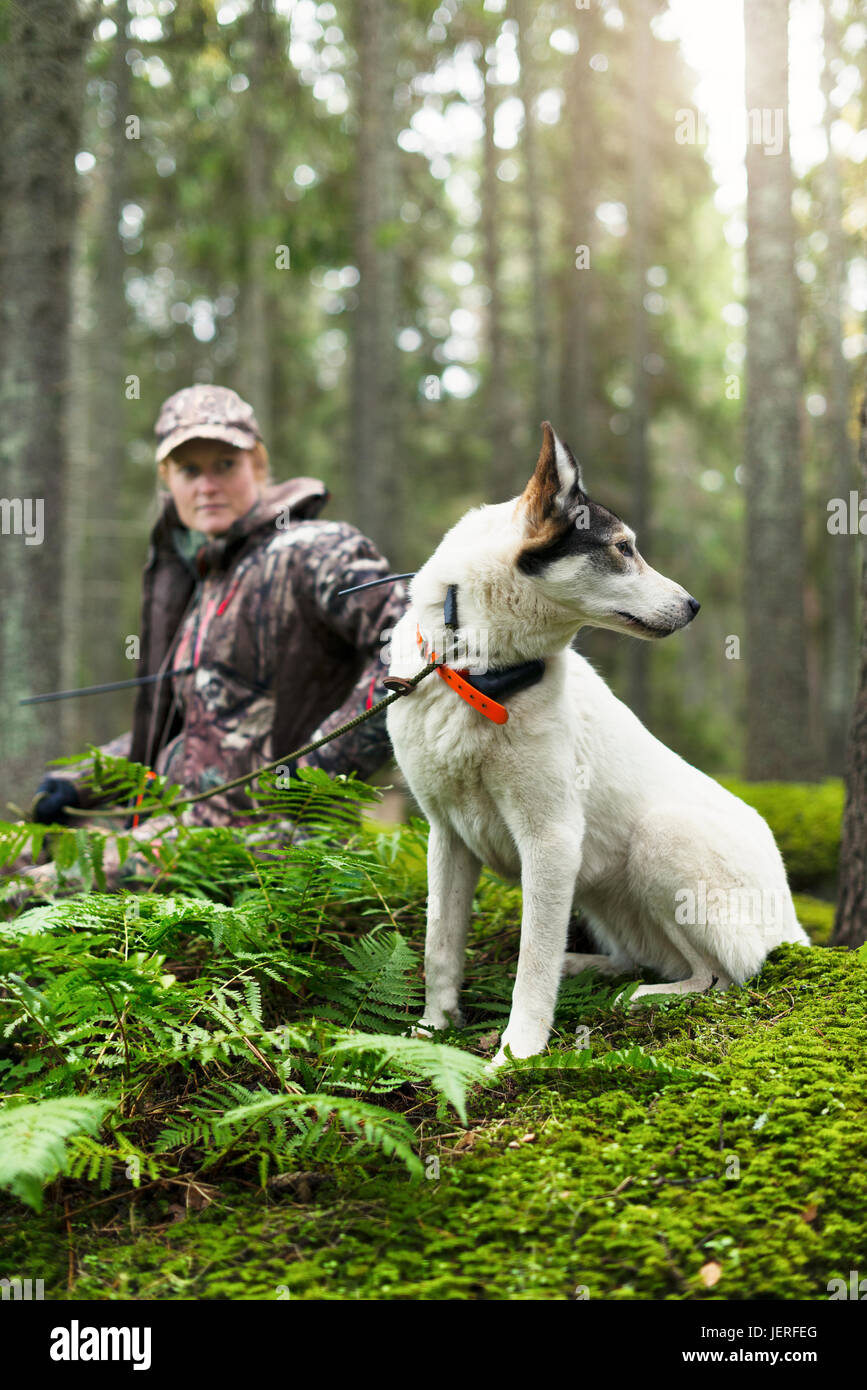 Woman with hunting dog in forest Stock Photo
