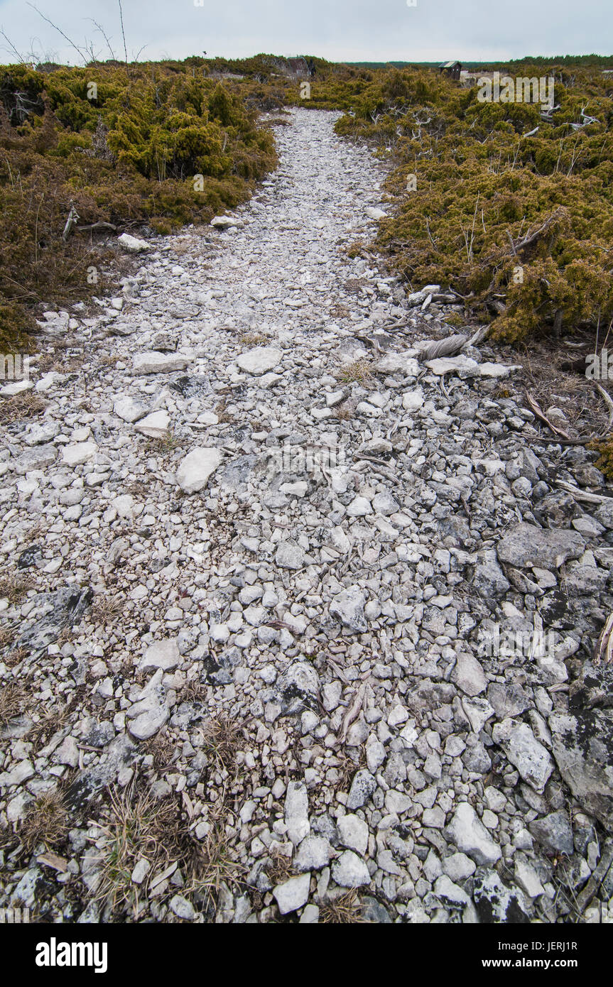 A gravel path, close-up Stock Photo - Alamy