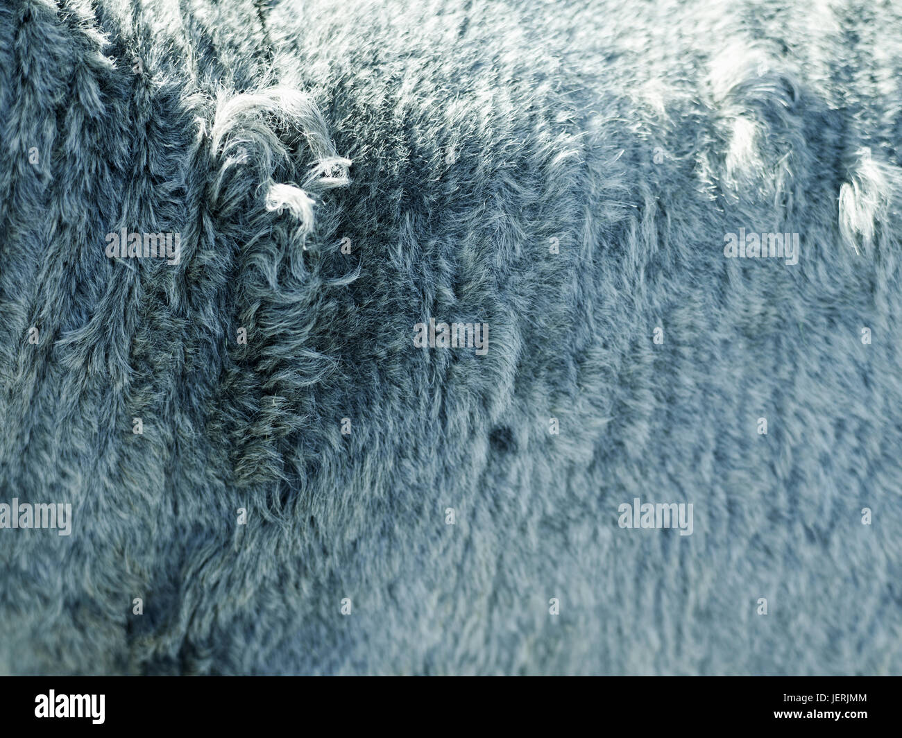 Animal fur close up hi-res stock photography and images - Alamy
