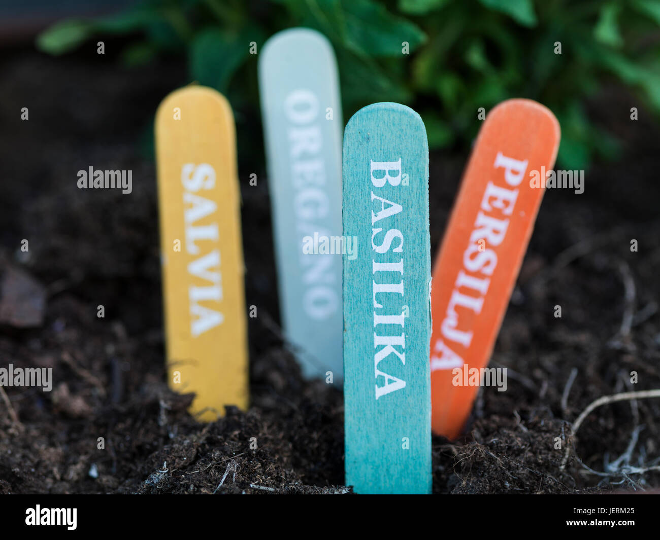 Herbs tags, closeup Stock Photo Alamy