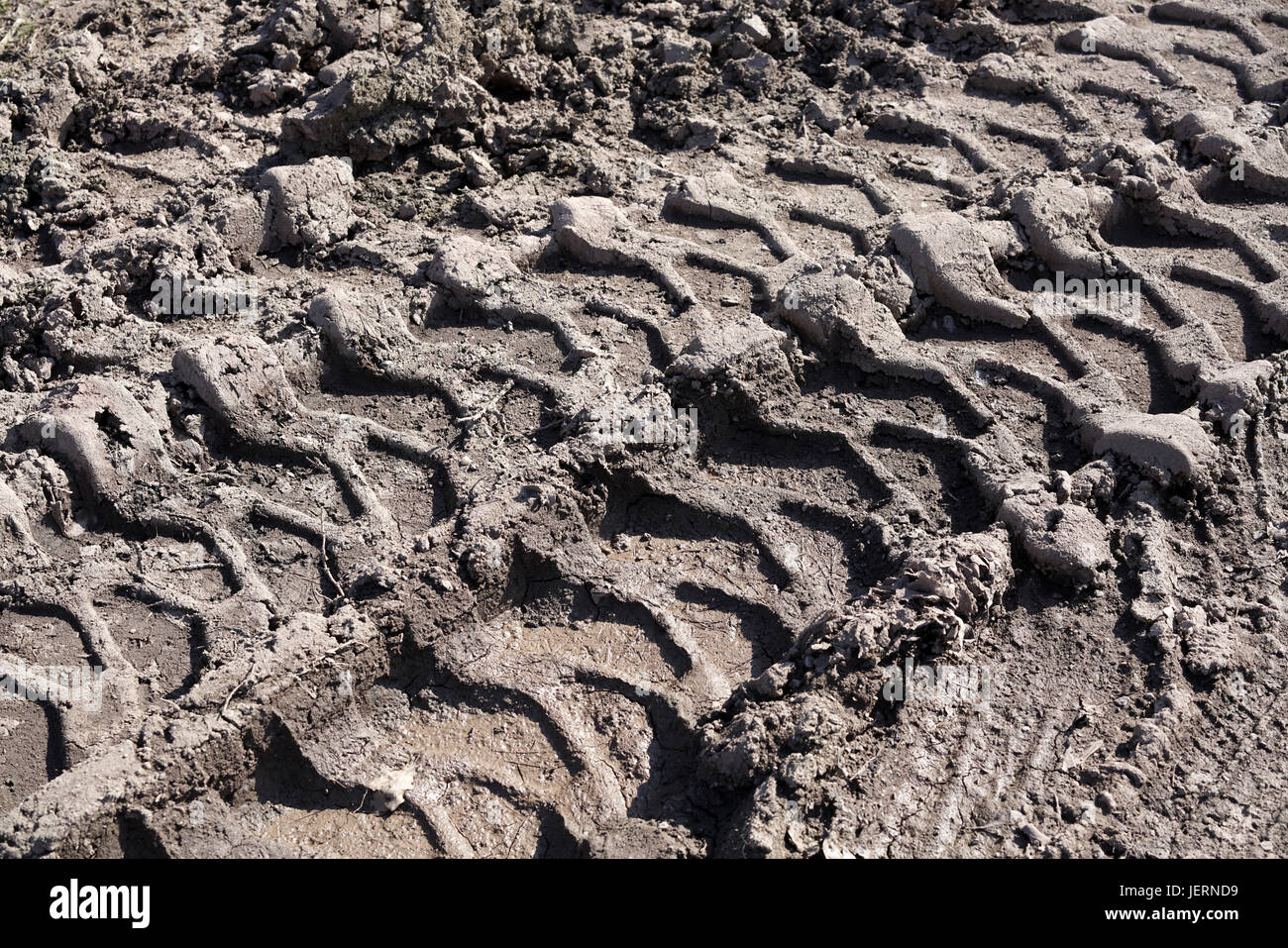 tire tracks on a muddy dirt road Stock Photo