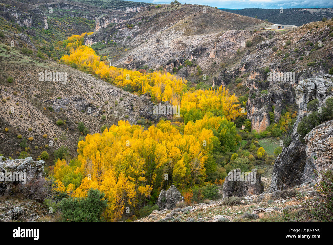 Autumn in the Barranco del Rio Dulce Natural Park. Guadalajara province. Spain Stock Photo