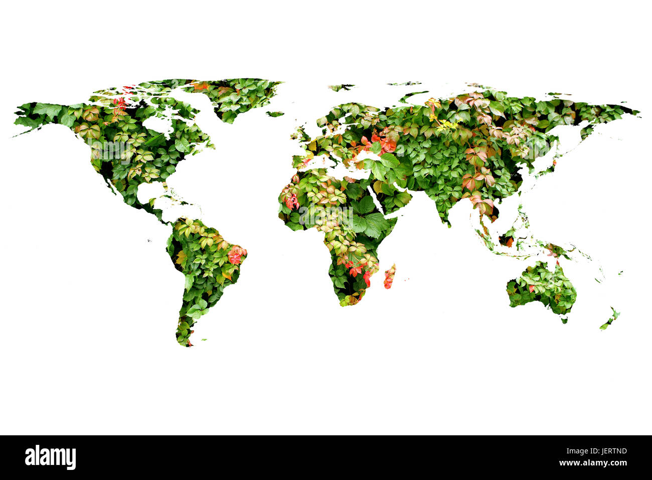 conceptual image of flat world map and leaves. NASA flat world map image used to furnish this image. Stock Photo