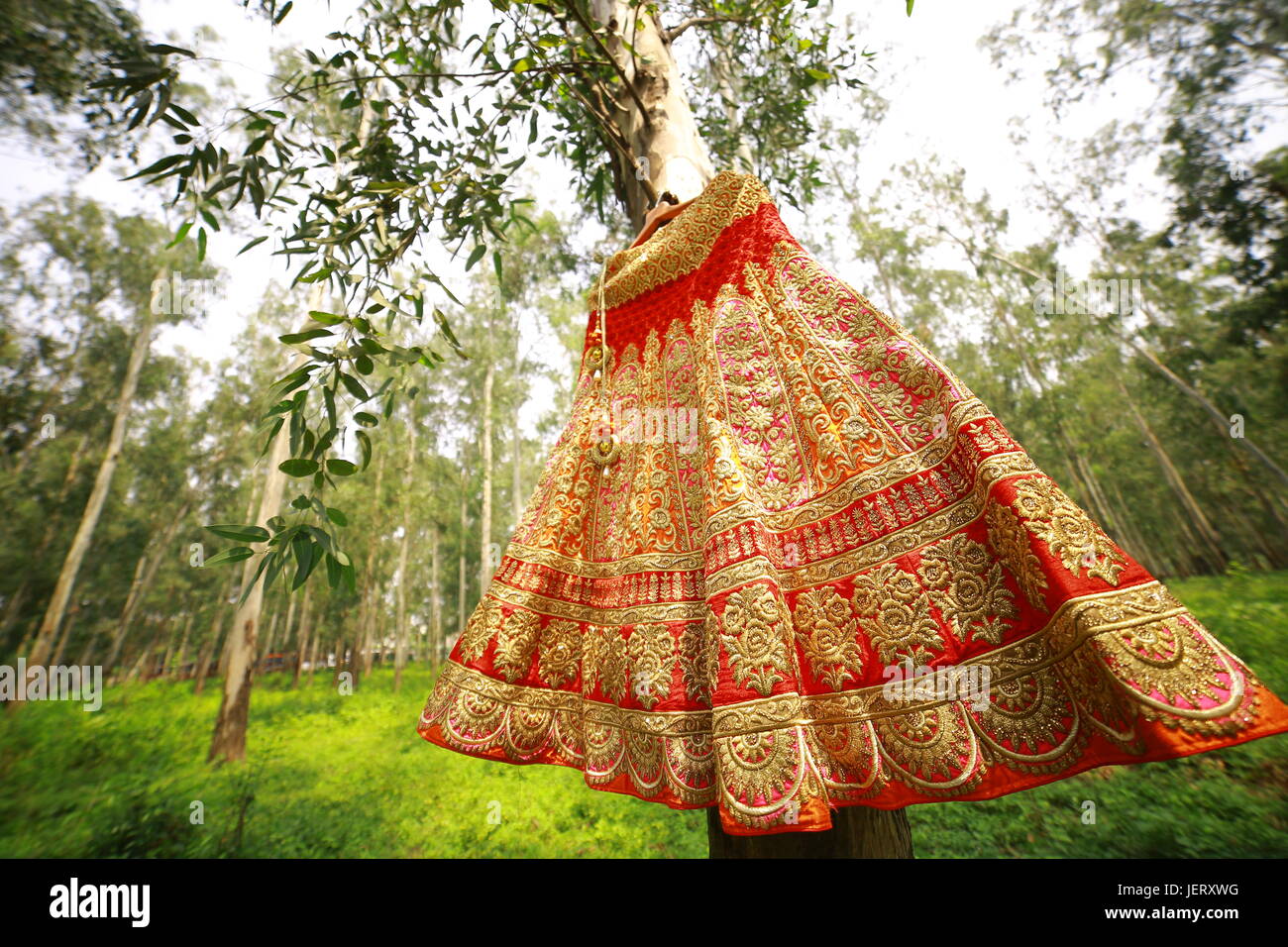 Indian Wedding Lehenga Stock Photo