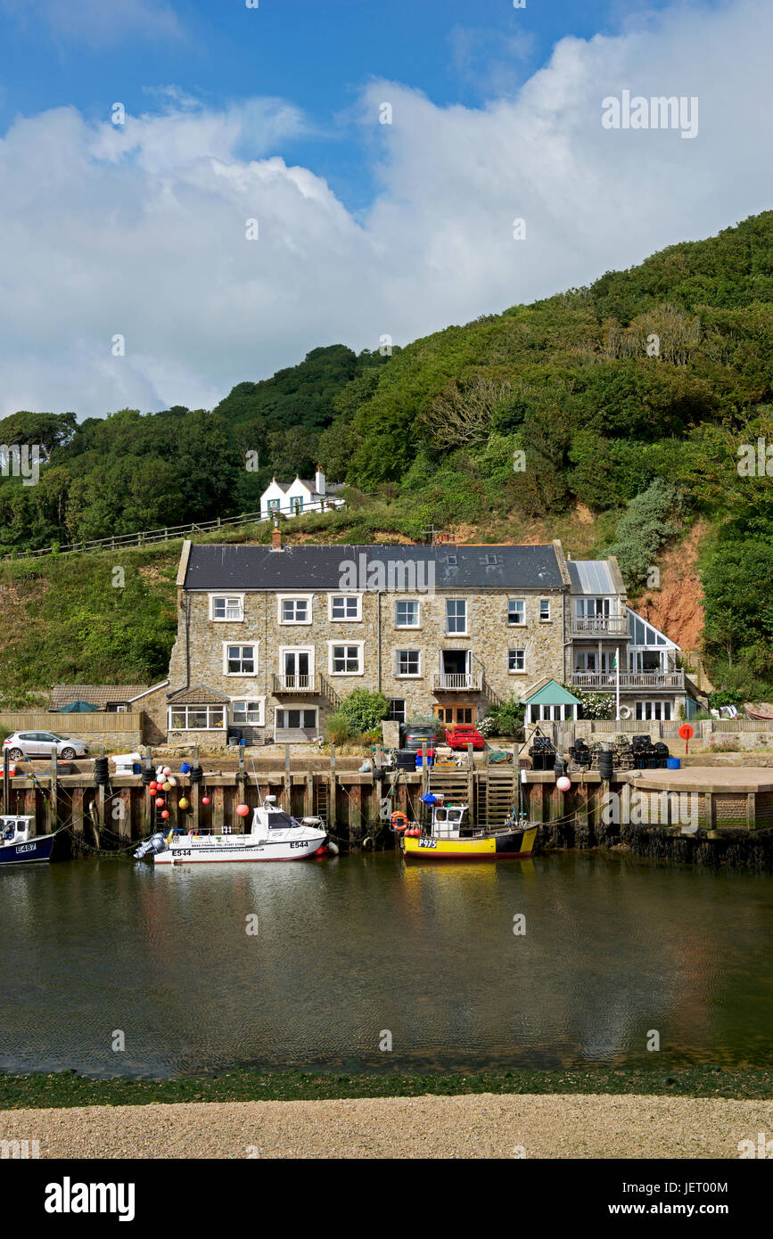 House overlooking the harbour, Seaton, Devon, England UK Stock Photo