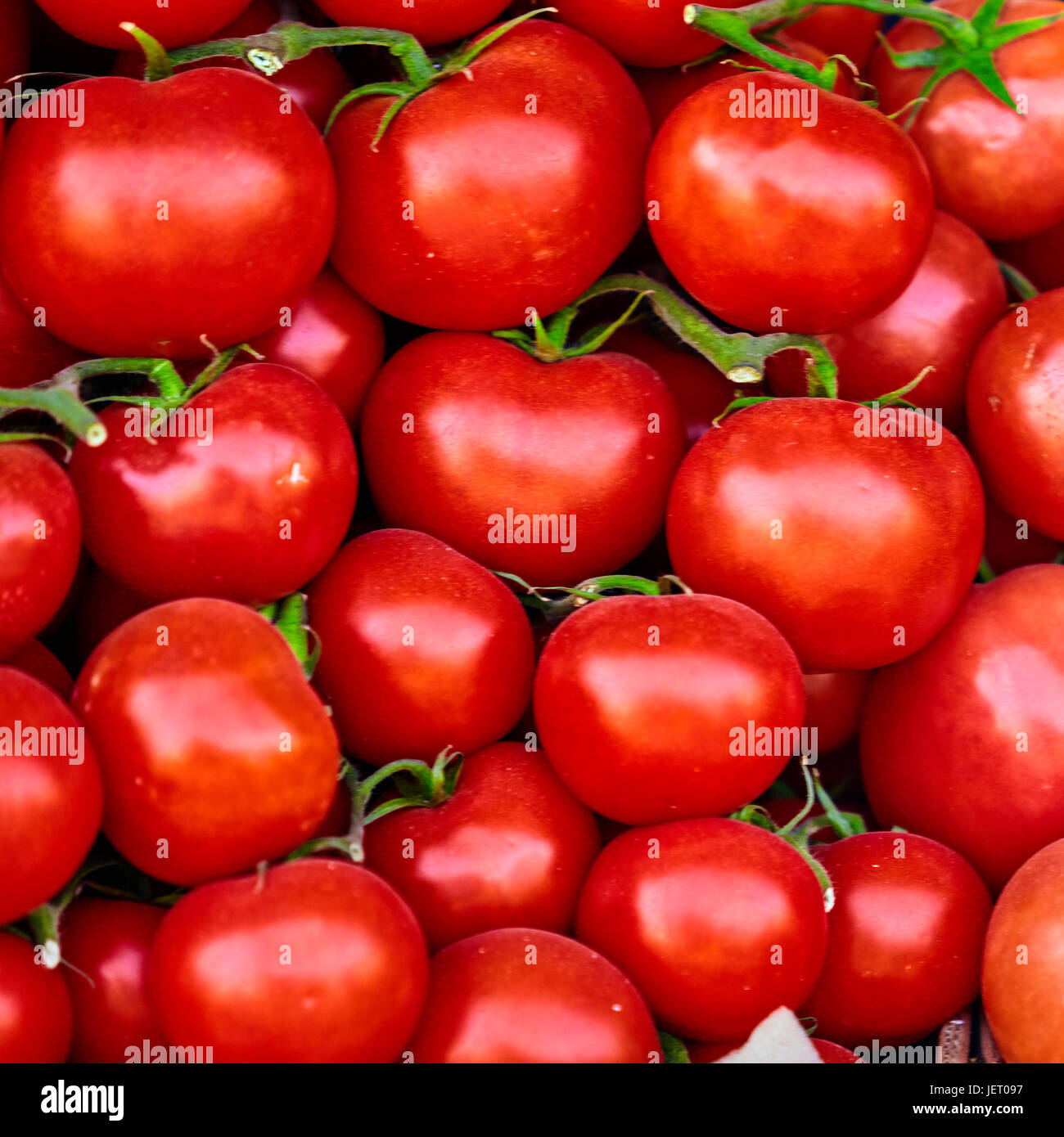 red tomatoes background. Group of tomatoes Stock Photo - Alamy