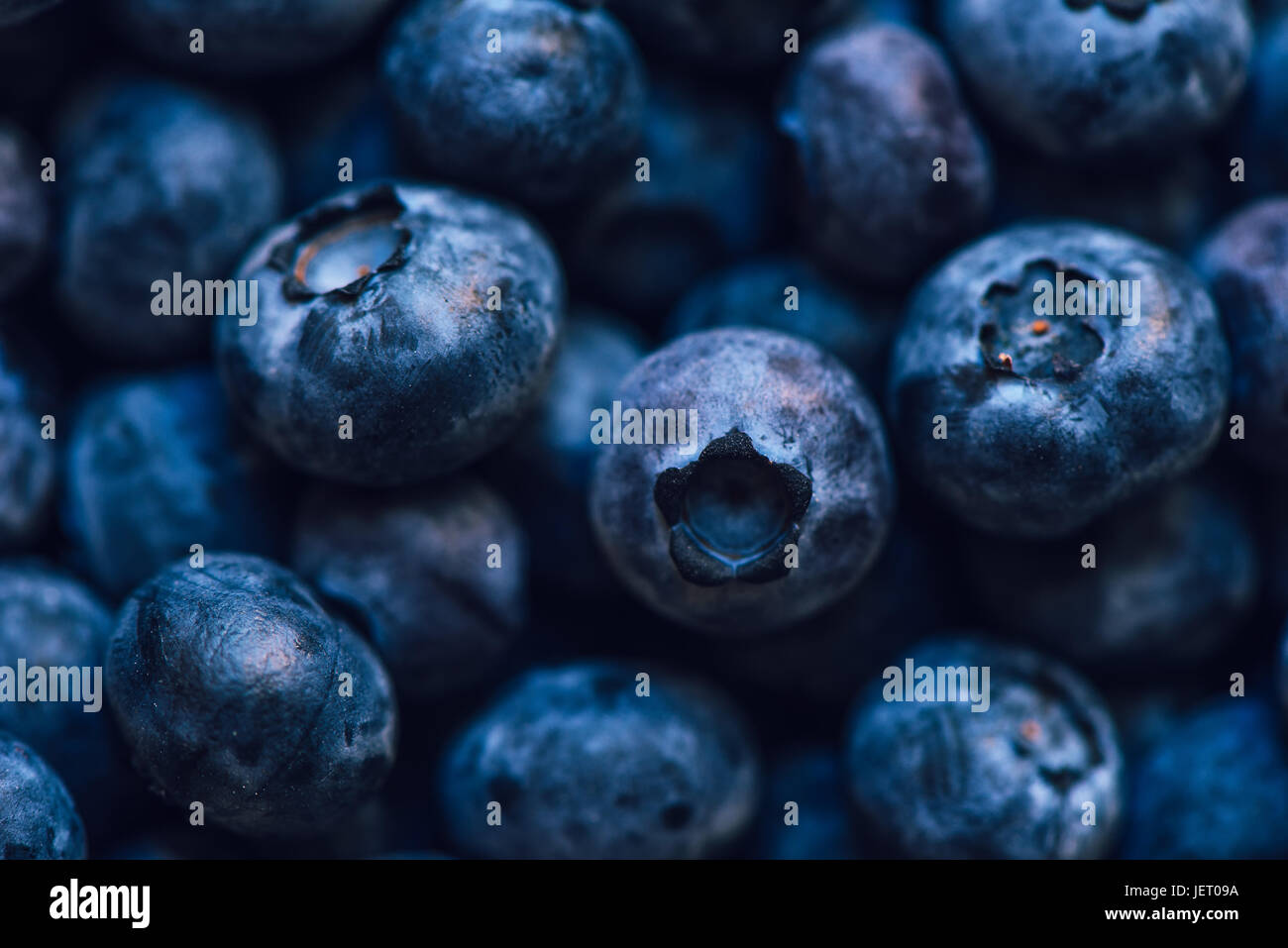 Blueberry pile, macro shot with selective focus Stock Photo