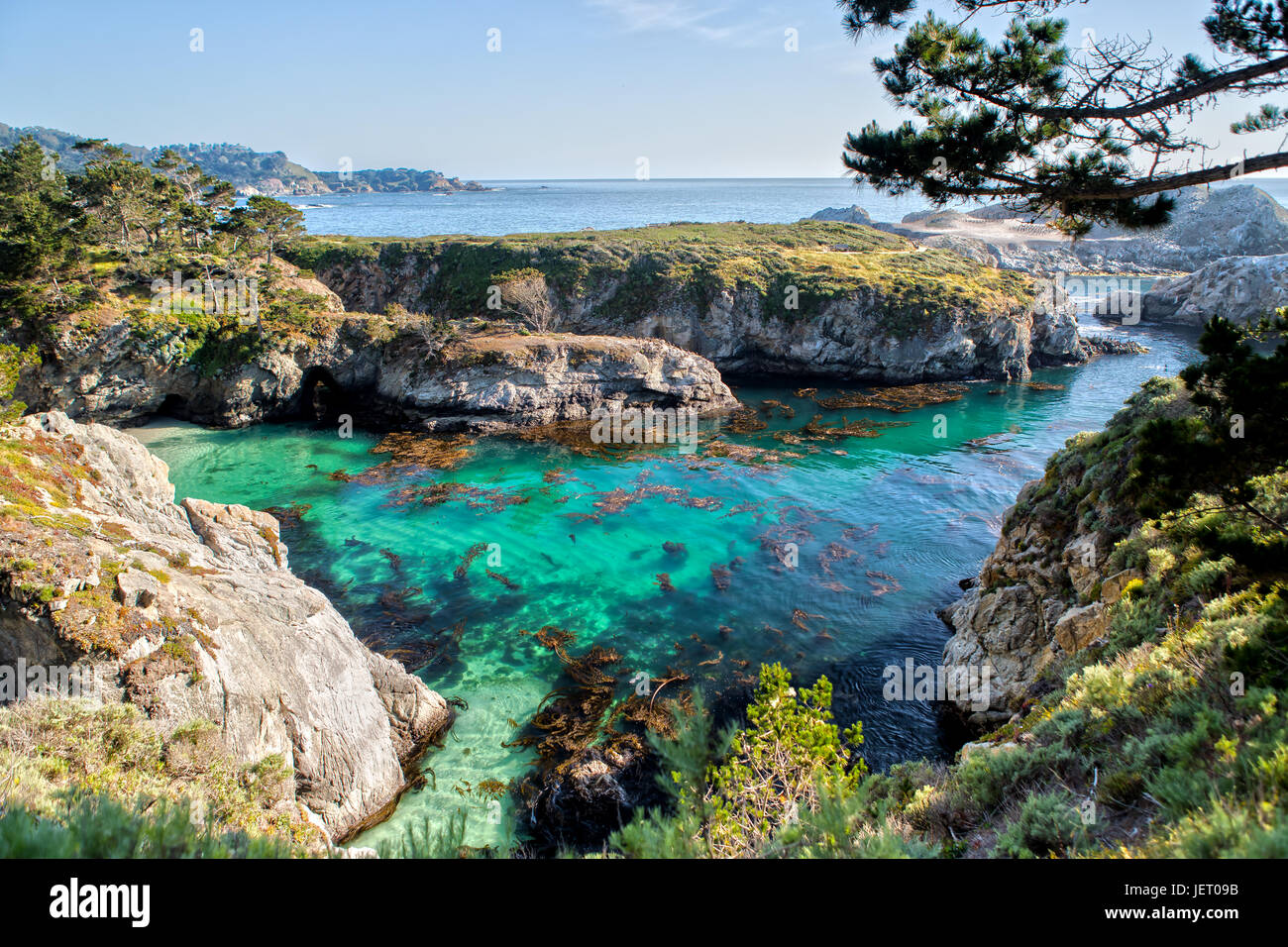 Point Lobos State Reserve at Highway 1 in California Stock Photo