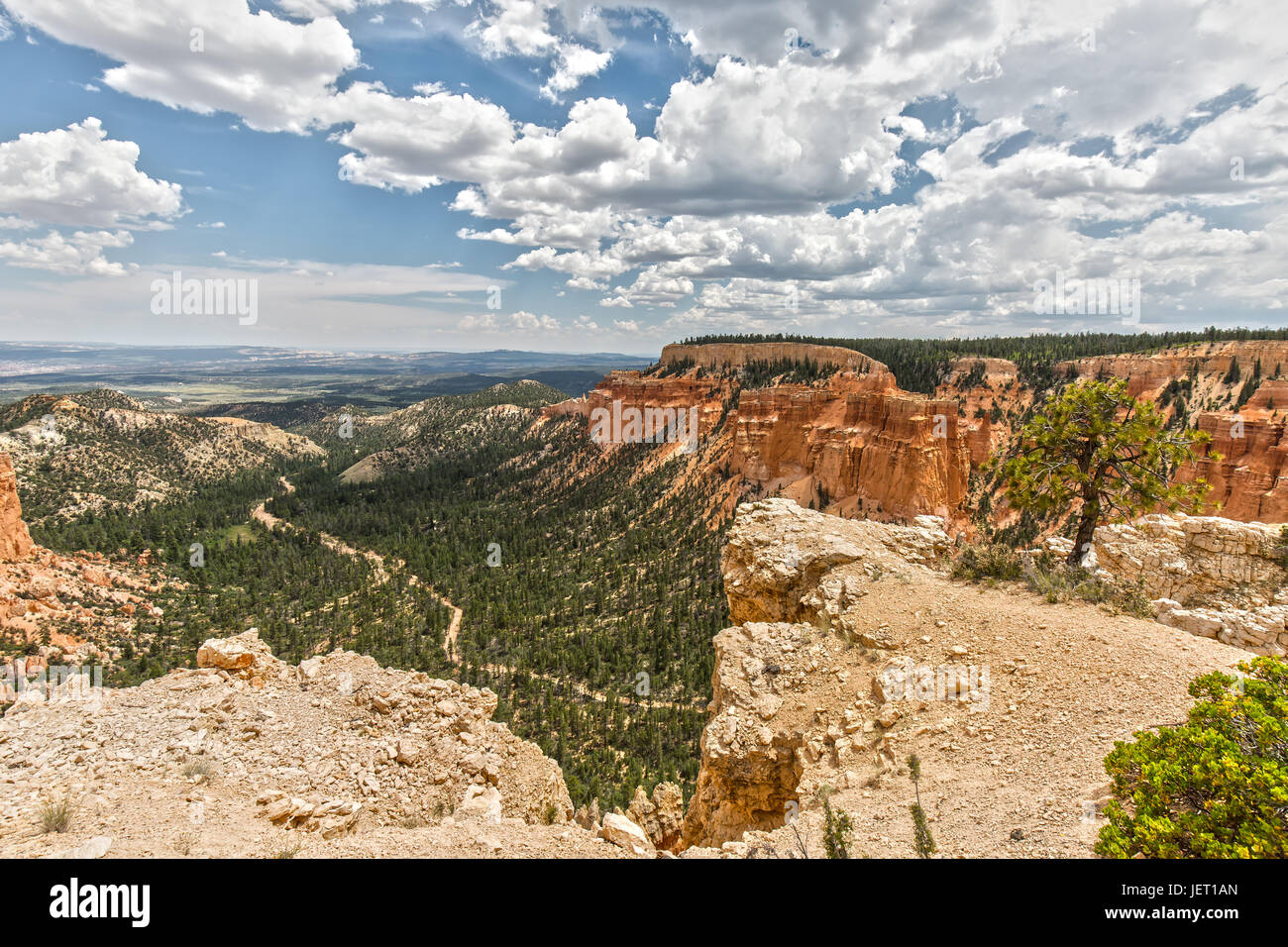 Viewpoint in Bryce Canyon, Utah Stock Photo