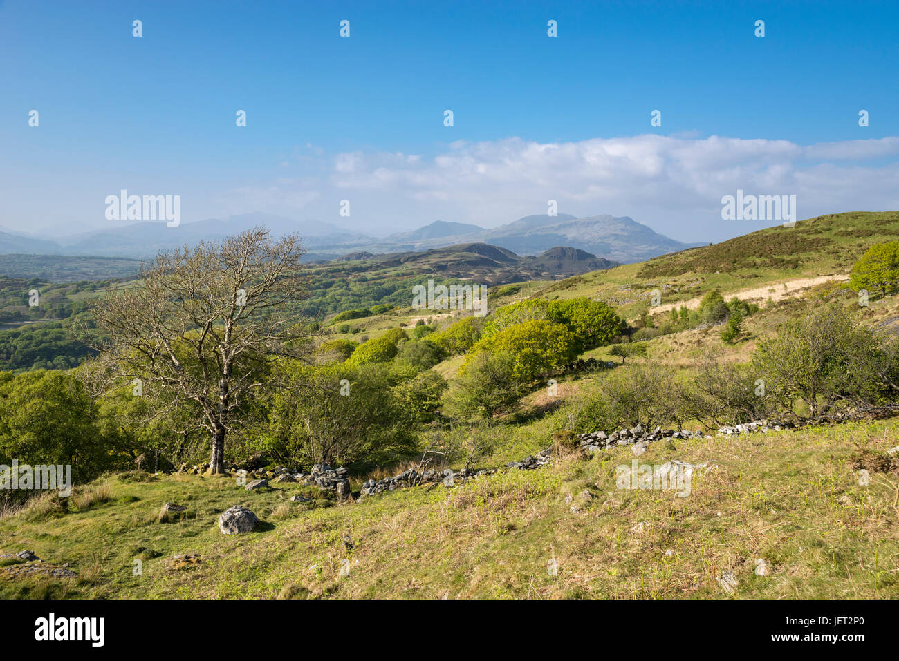 Beautiful scenery in the hills near Harlech in Snowdonia national park, North Wales. Stock Photo