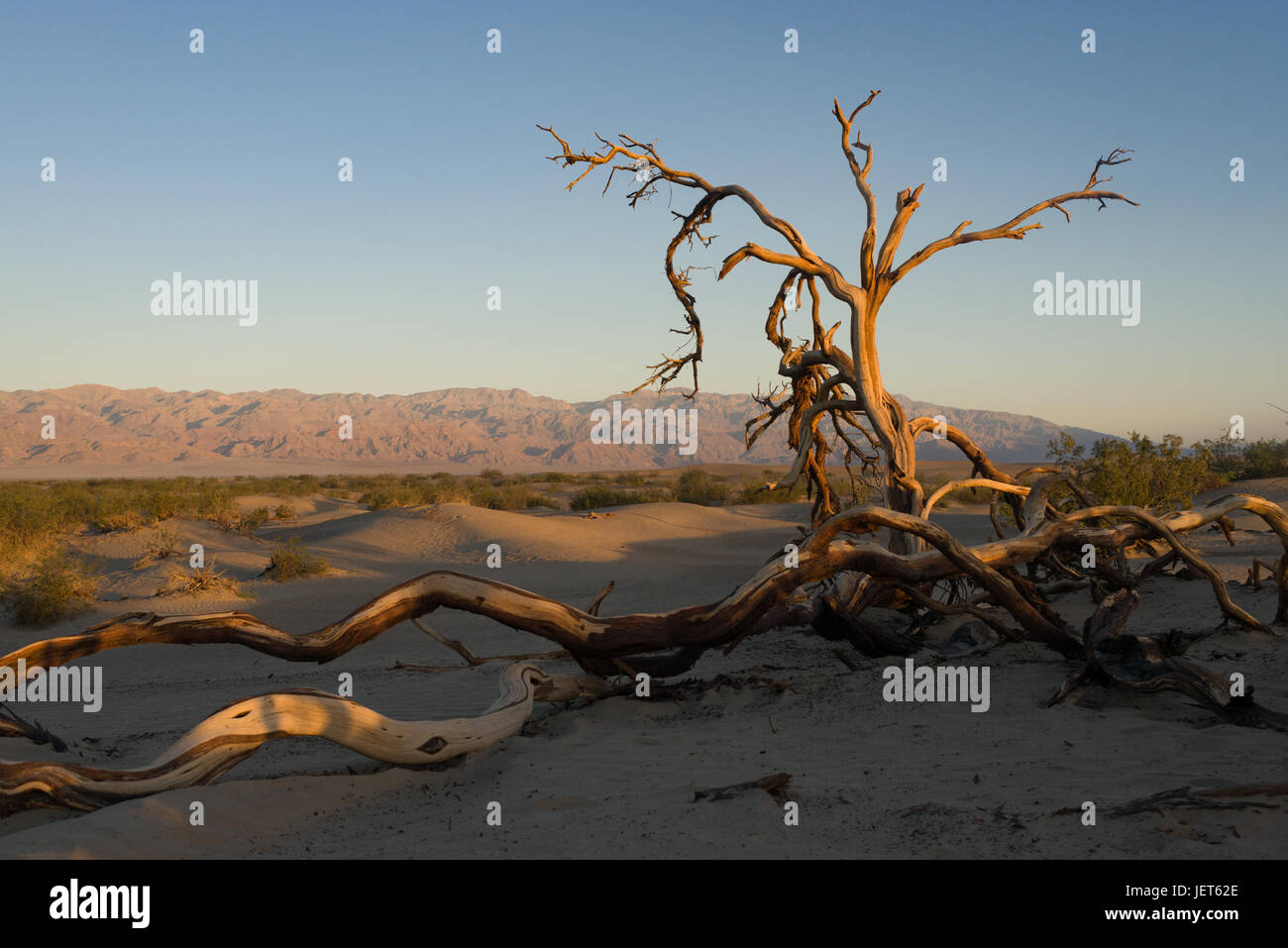 Death valley national park hi-res stock photography and images - Alamy