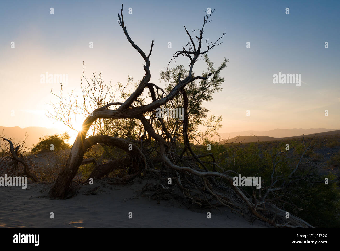 Sunrise in Death Valley National Park Stock Photo - Alamy