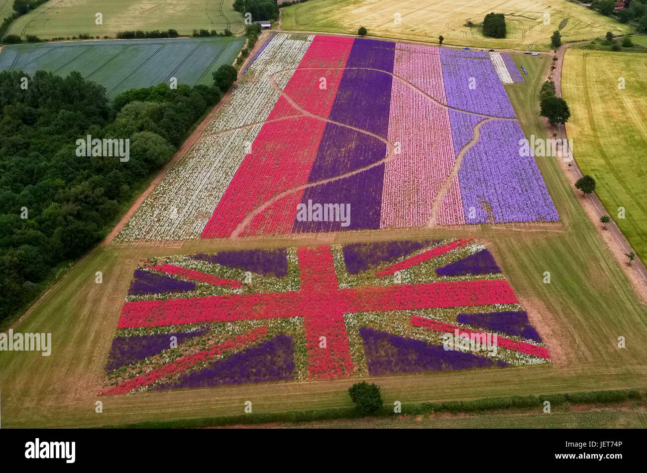 Confetti flower fields worcestershire hires stock photography and