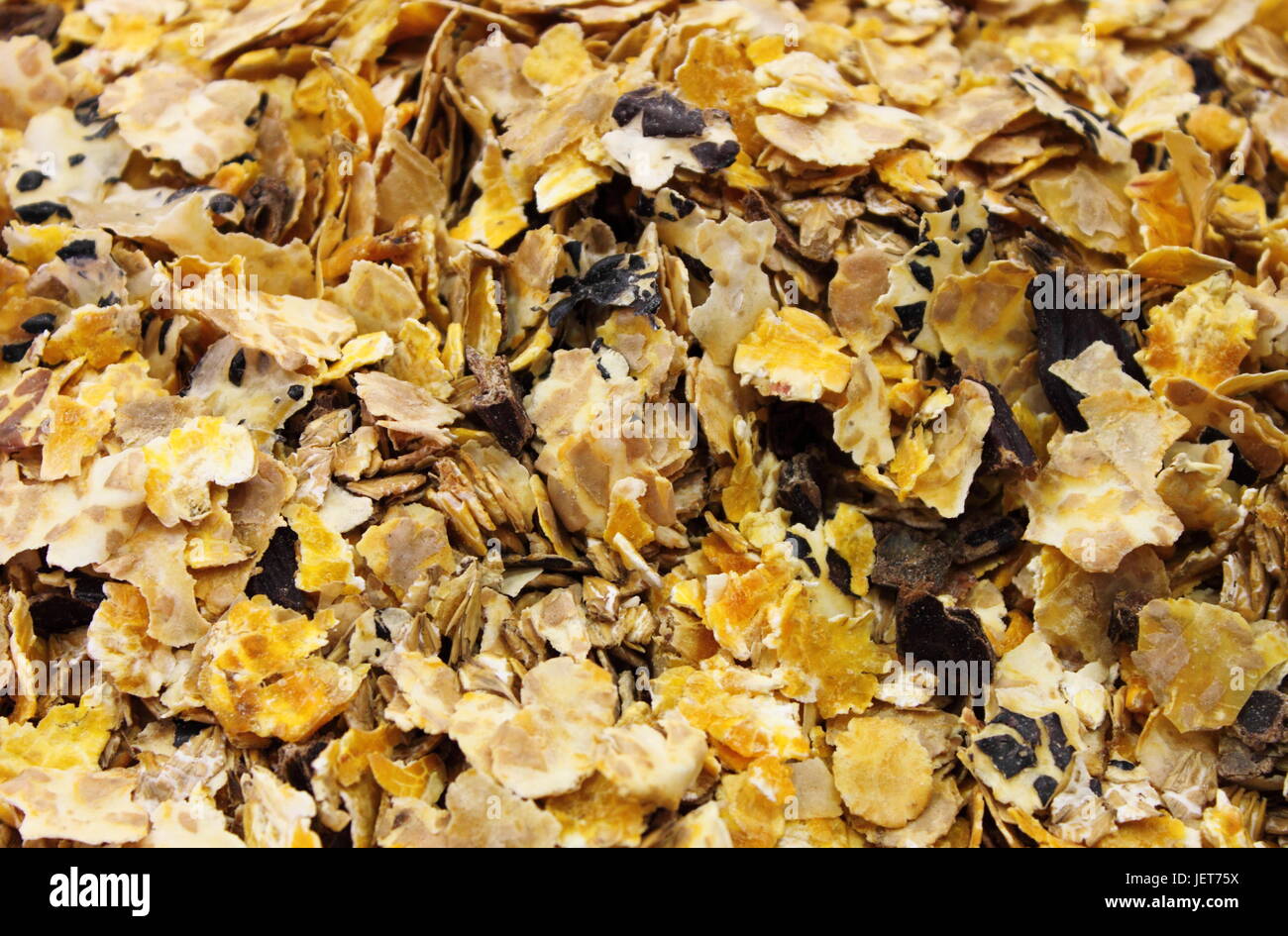 Detailed view of horse feed mix Stock Photo Alamy