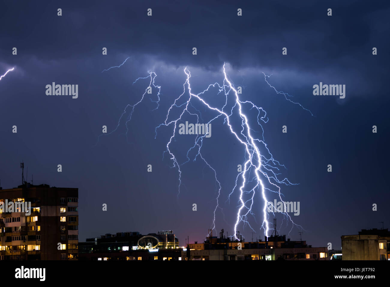 Anatomy Of Insects High Resolution Stock Photography and Images - Alamy