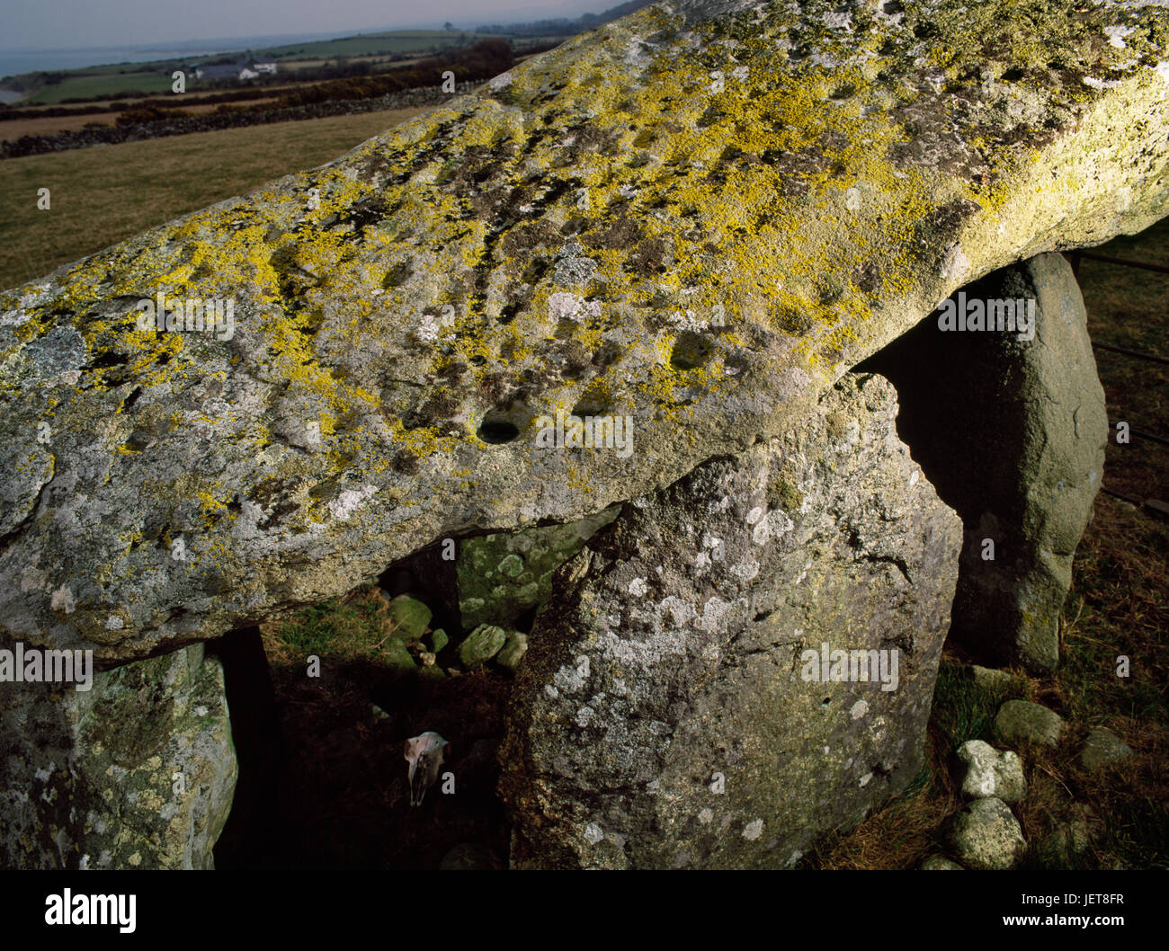 View NE of the capstone of Bachwen Neolithic burial chamber, North Wales, covered with around 110 cupmarks and two grooves. A type of portal dolmen. Stock Photo