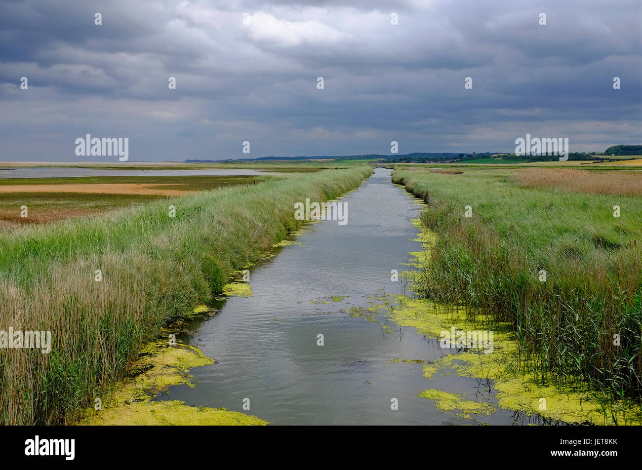 cley nature reserve, north norfolk, england Stock Photo