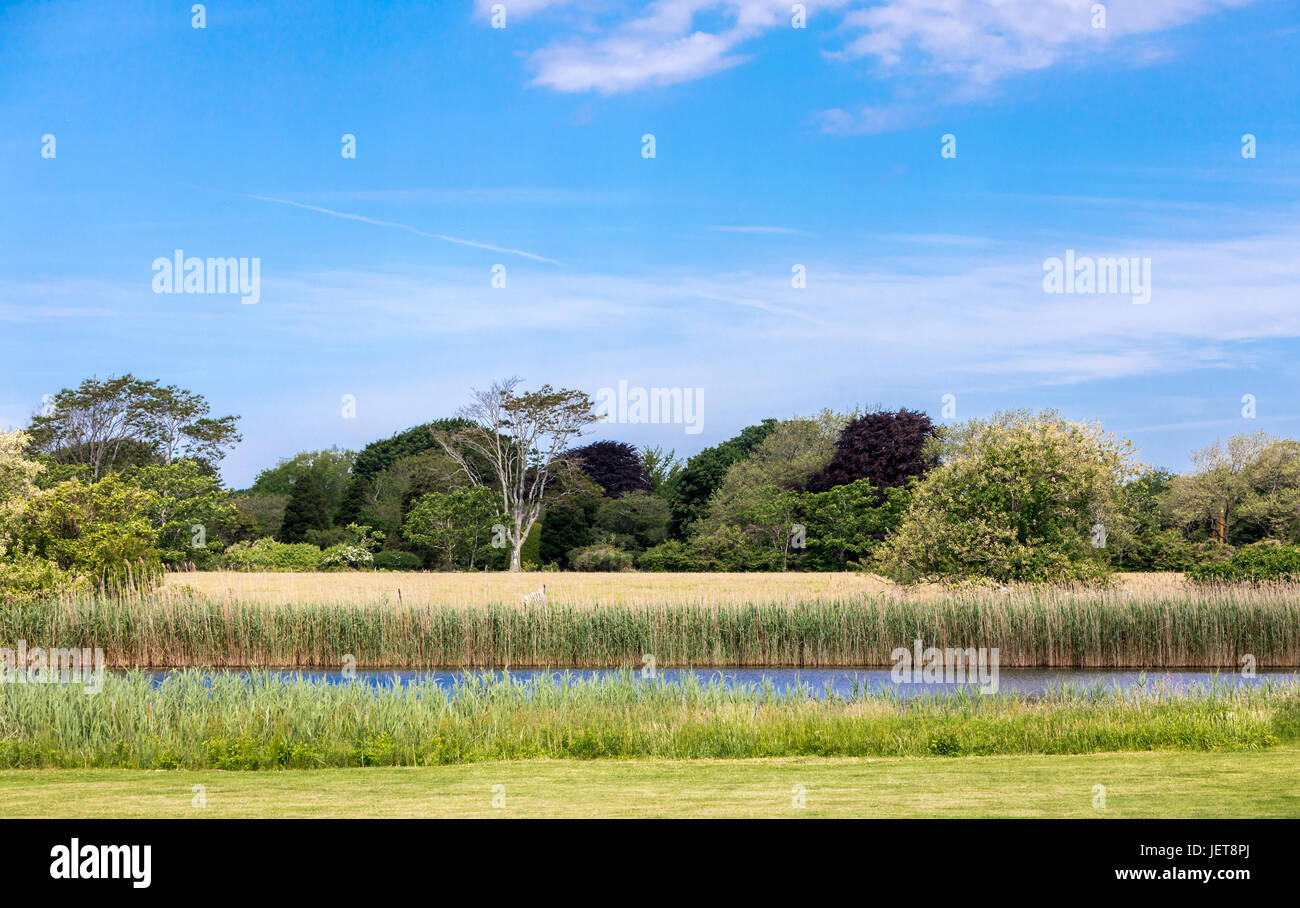 beautiful natural park area near expensive homes and the beach in East Hampton, NY Stock Photo