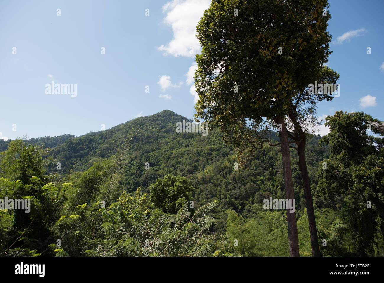 Thailand landscape Stock Photo