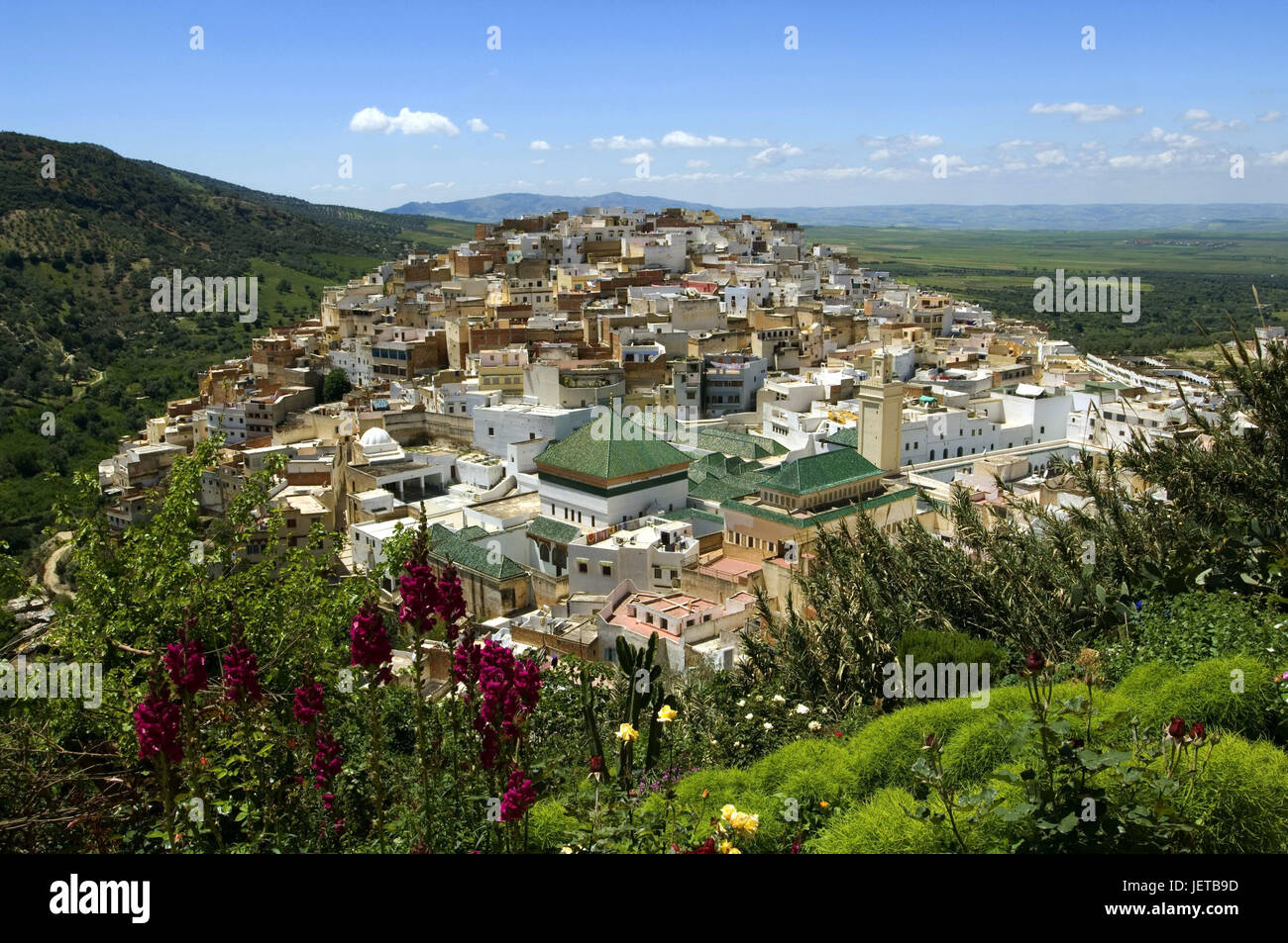 Morocco, Moulay Idriss, town view, Africa, North Africa, town, place of pilgrimage, houses, buildings, architecture, scenery, mountains, heavens, blue, view, vegetation, plants, blossom, Stock Photo