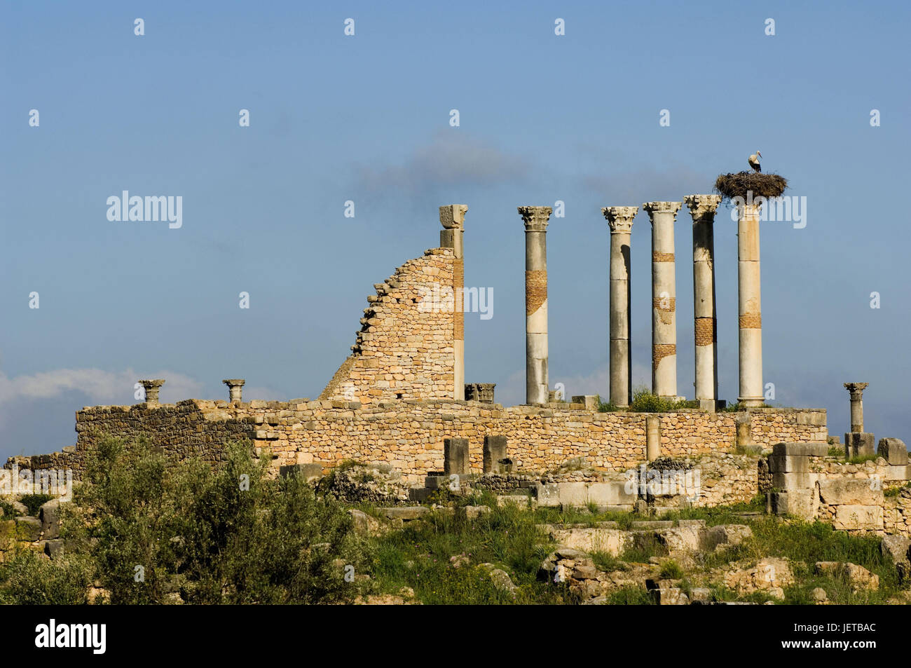 Morocco, Volubilis, ruins, pillars, stork|s nest, Africa, North Africa, destination, place of interest, culture, ruin field, structures, buildings, architecture, remains, destruction, transitoriness, outside, deserted, antique, Roman, excavation, excavation site, UNESCO-world cultural heritage, Vogel's nest, stork, Stock Photo