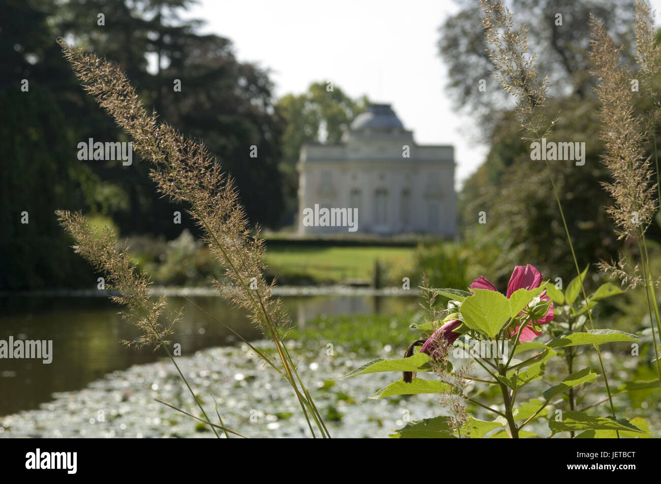 France, Paris, Bois de Boulogne, Parc de trifle, lock, pond, grass, flower, blur, Stock Photo