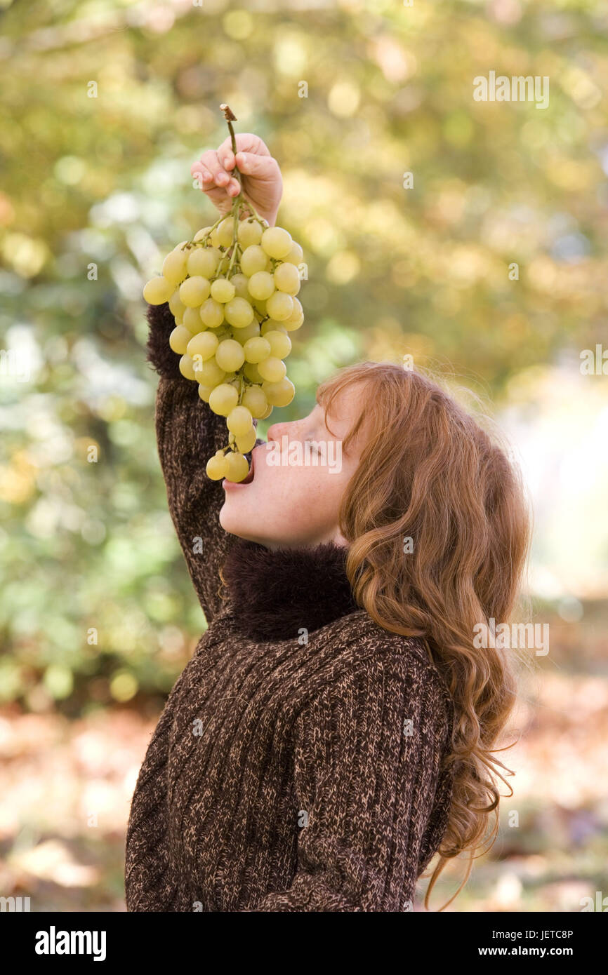 Girls, grapes, eat, portrait, at the side, model released, child, people, stand, hold red-haired, hand, fruit, grape, grapes, vine plant, brightly, green, clothes, cord pullover, season, autumn, sunshine, child portrait, Stock Photo