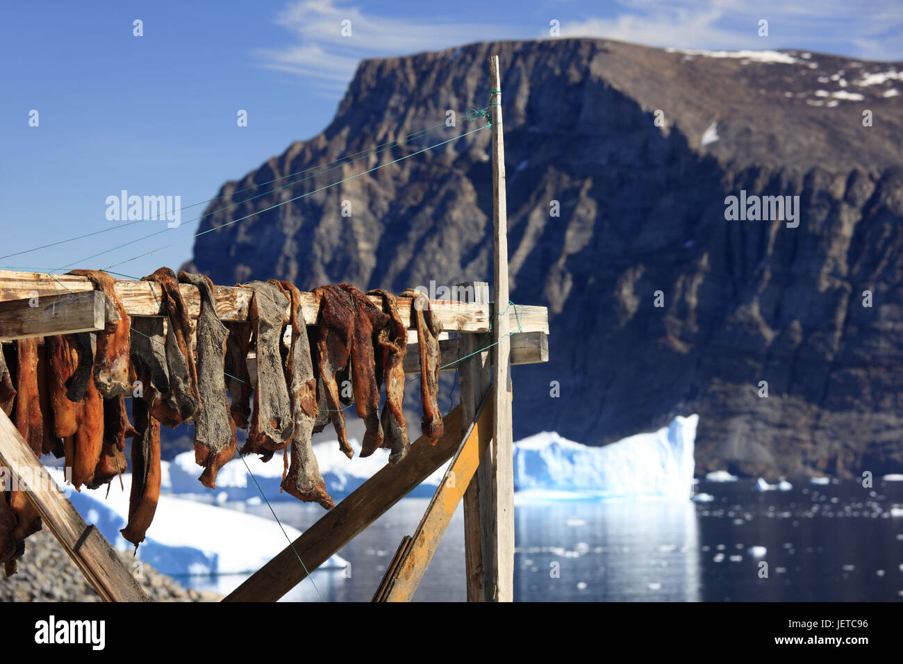 Greenland, Uummannaq, wooden rack, detail, dry fish, hang, background, icebergs, bile coast, Northern Greenland, typically, fish, food fish, drying, post, Food, typically for country, preservation, dried fish, aerial drying, outside, deserted, strings, the Arctic, ice, fjord, shore, blur, Stock Photo