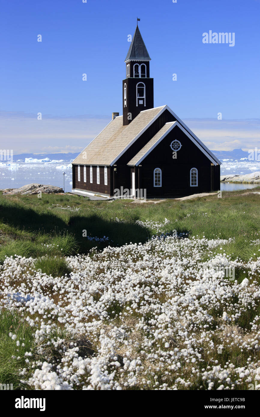 Greenland, Disco Bay, Ilulissat, church, meadow, cotton grass, Eriophorum spec., Western Greenland, the Arctic, summer, vegetation, botany, grass, plants, reeds grass, flower sleeves, shores, coast, scenery, outside, deserted, church, sacred construction, architecture, faith, religion, Christianity, Stock Photo