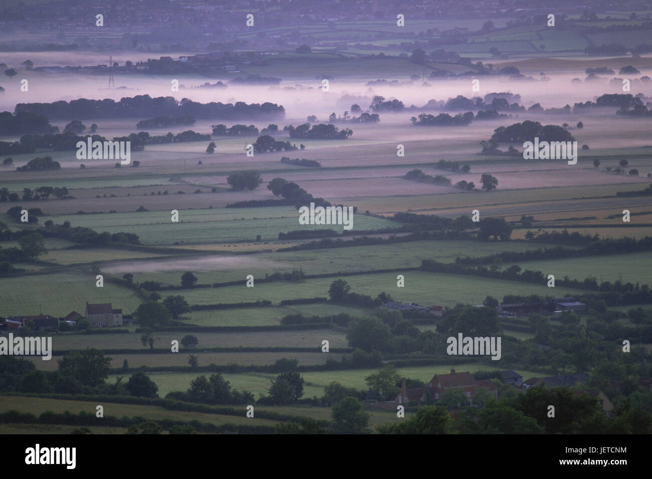 Great Britain, England, Somerset, scenery, fields, view, foggy, Europe, width, distance, field scenery, trees, demarcation, agriculture, foggy, dusk, farms, isolates, remotely, houses, Stock Photo
