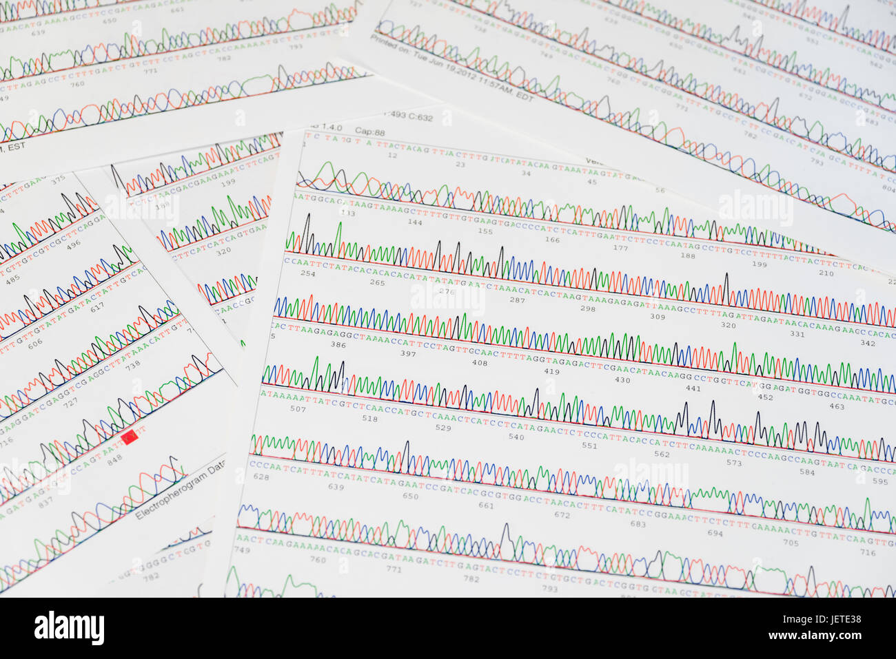 Sanger sequencing result sheet Stock Photo