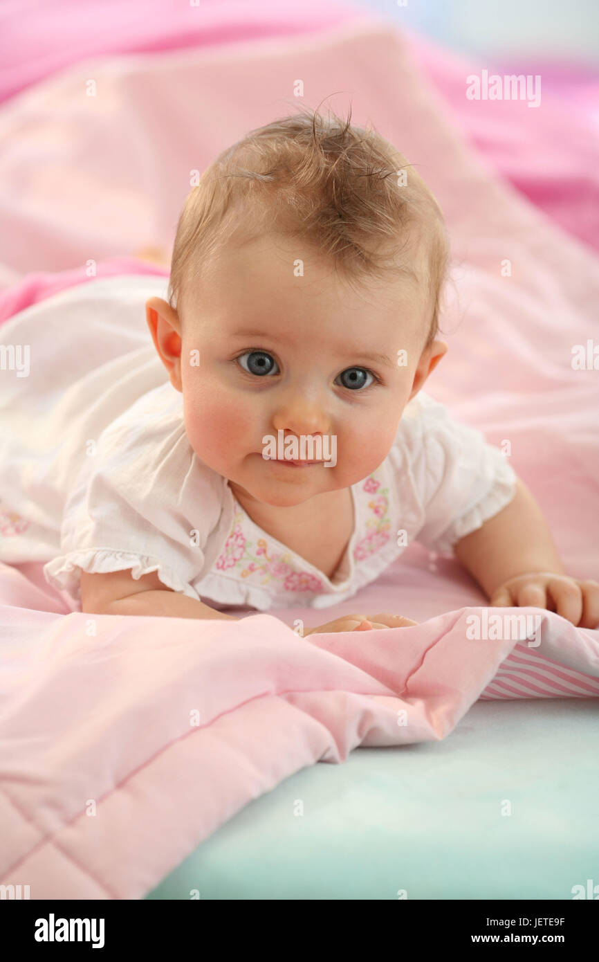 Baby, 6 months, portrait, Stock Photo