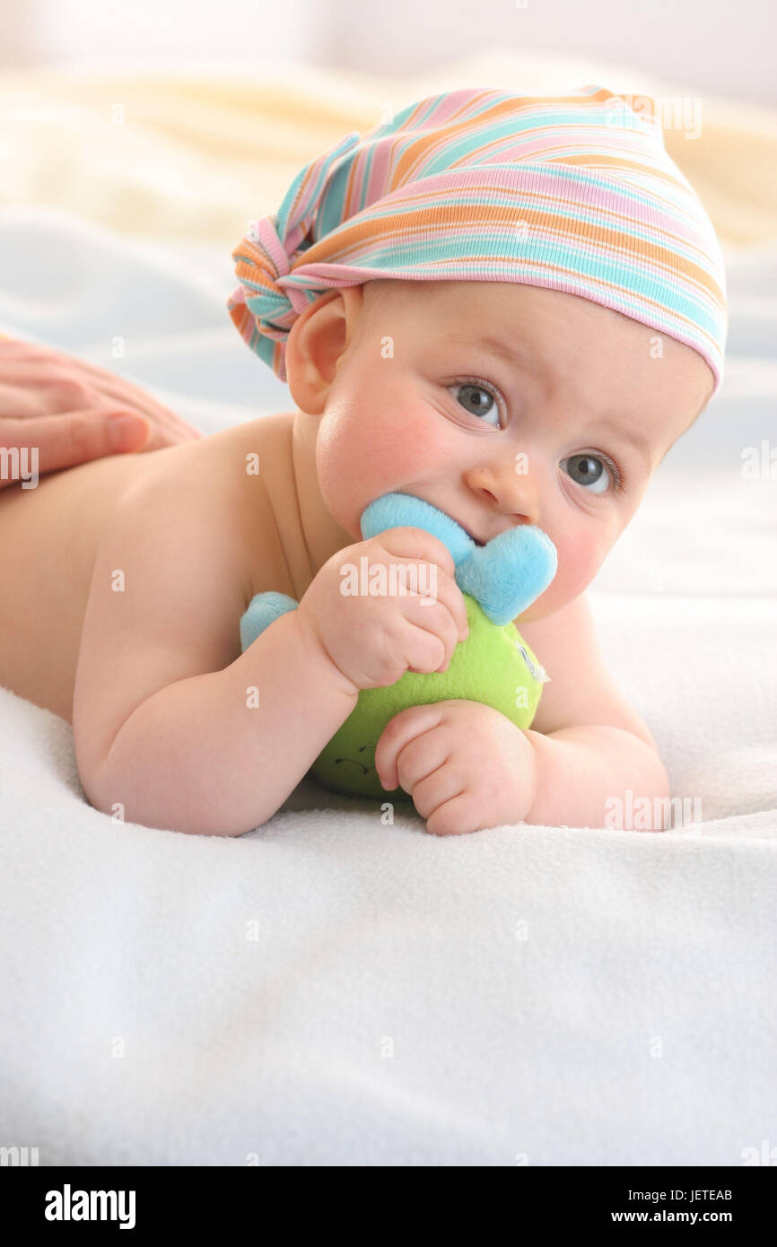 Baby, 5 months, headscarf, soft toy, portrait, Stock Photo