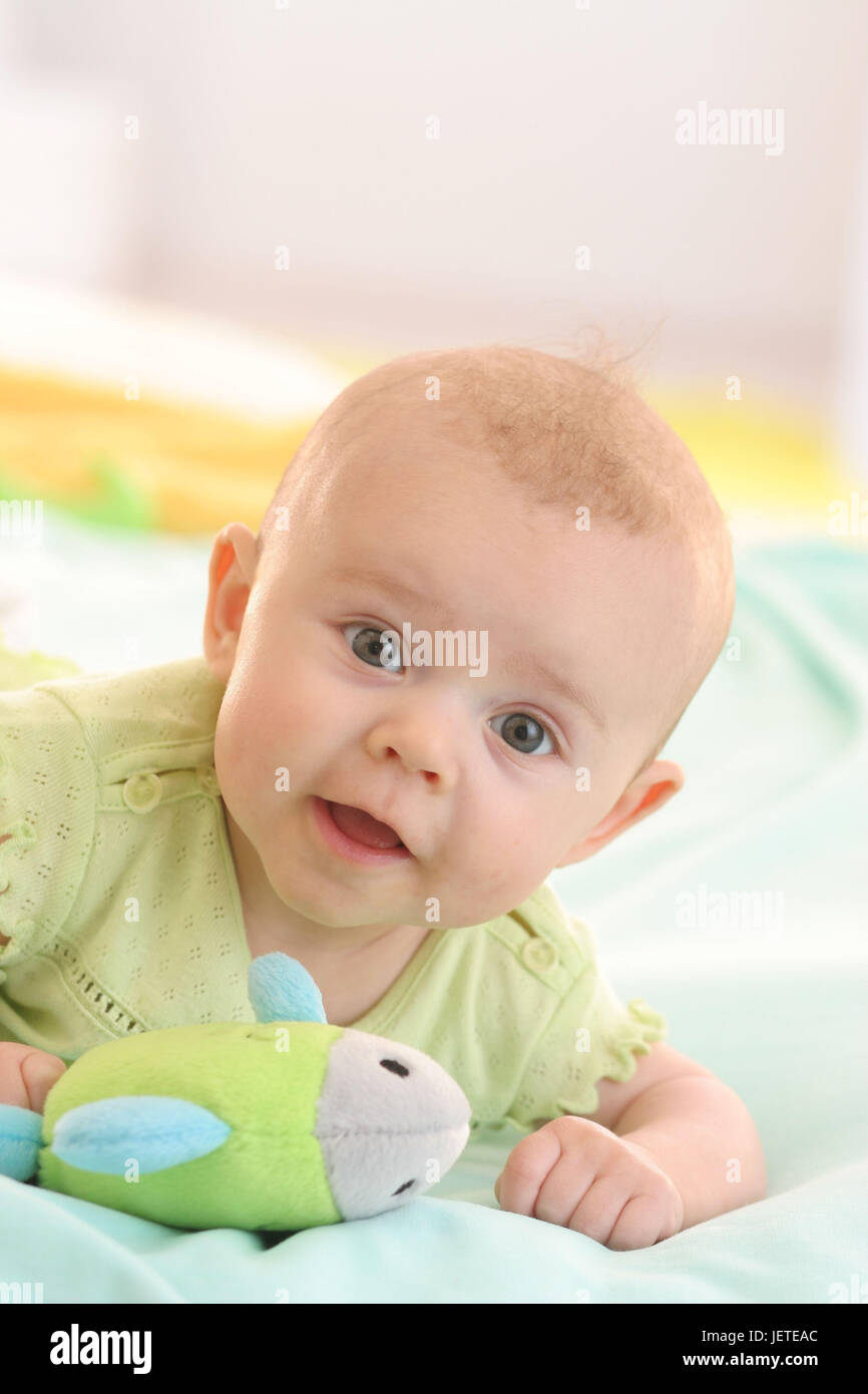 Baby, 5 months, portrait, soft toy, Stock Photo