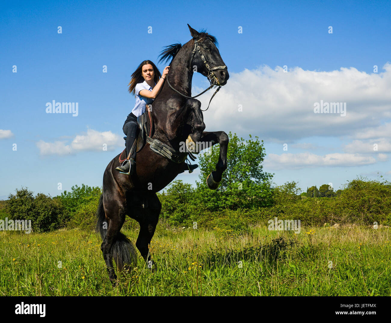 young riding girl and her black stallion in nature Stock Photo