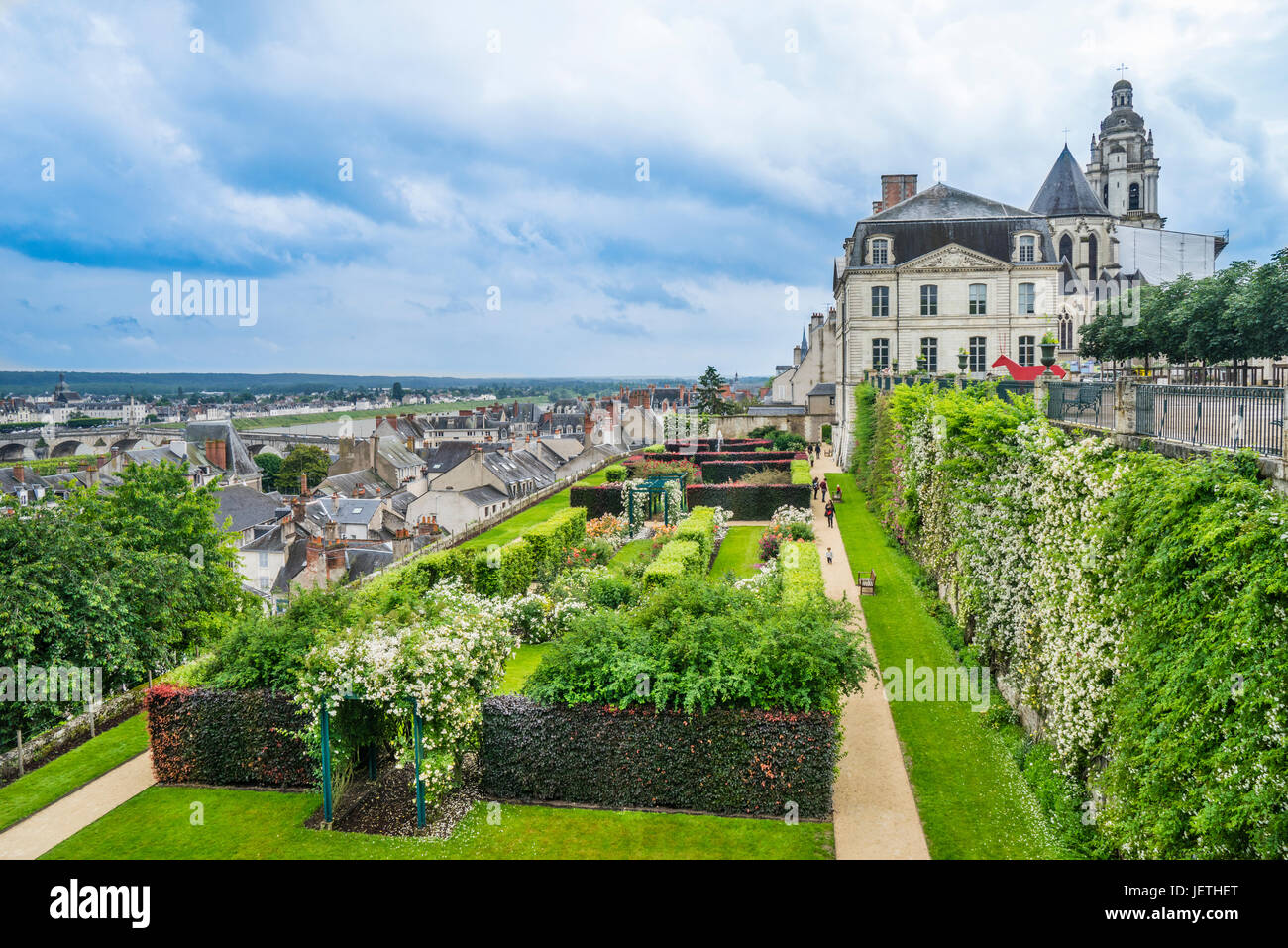 France, Centre-Val de Loire, Blois, Roseraie de Blois, the spectacular rose garden forms part of gardens of the Bishop's Palace Stock Photo