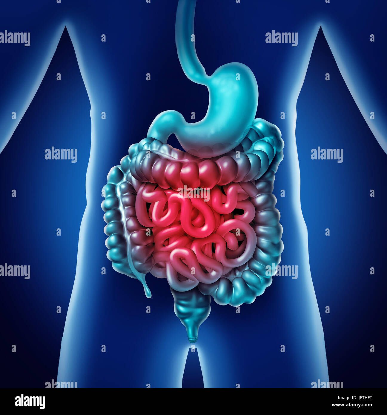 Intestine Pain and gastrointestinal digestion inflammation problem as digestion discomfort or constipation and infection as a3D illustration. Stock Photo