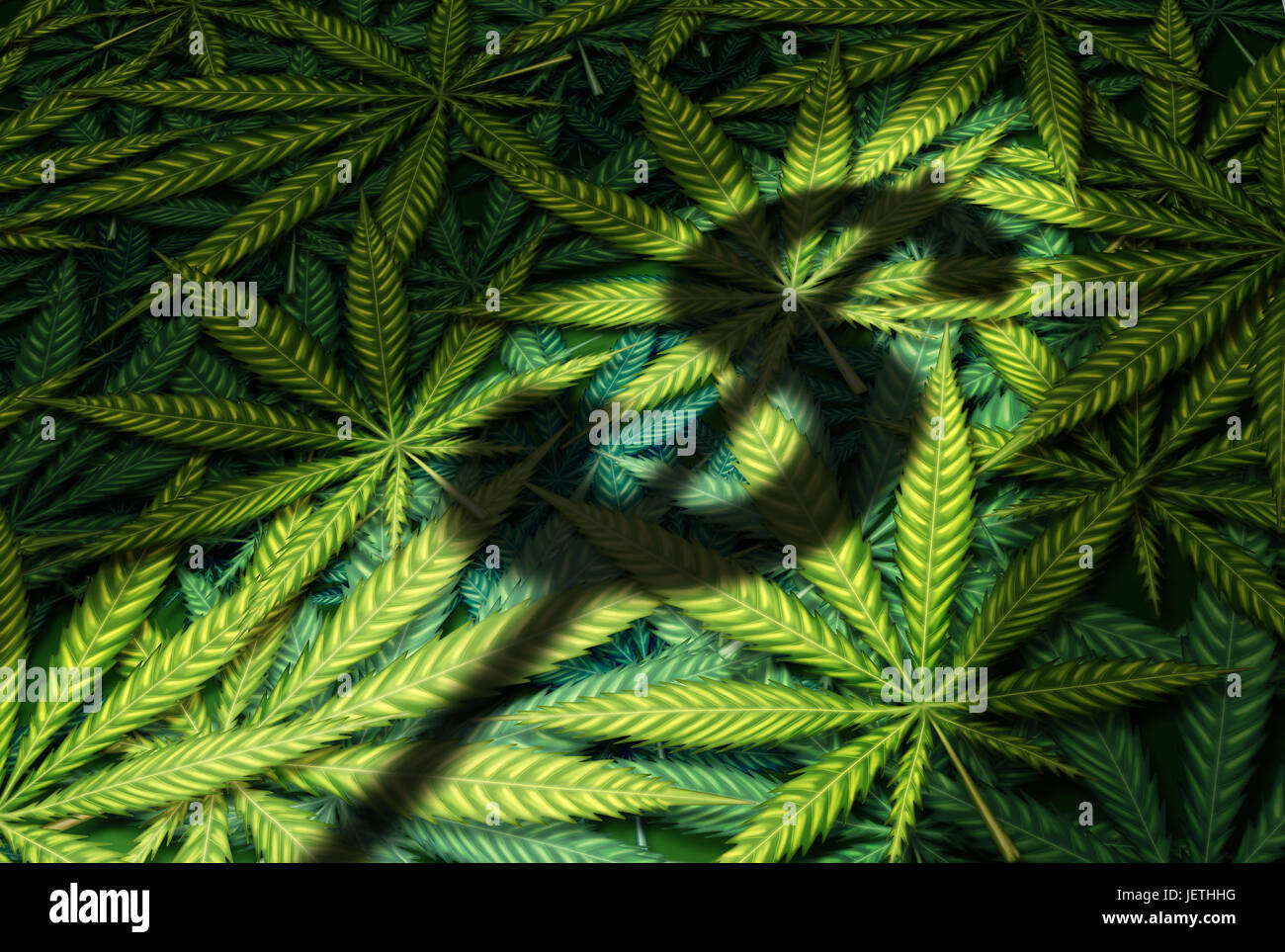 Cannabis business and marijuana industry concept as the shadow of a dollar sign on a group of leaves in a 3D illustration style. Stock Photo
