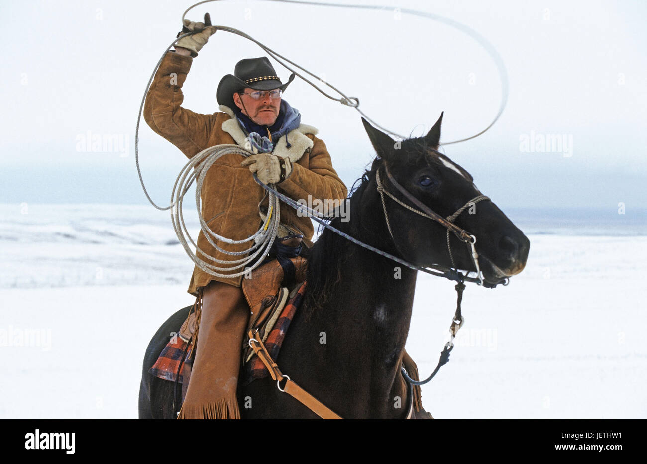 Cowboy swings lasso, Canada, Cowboy schwingt Lasso - Kanada Stock Photo