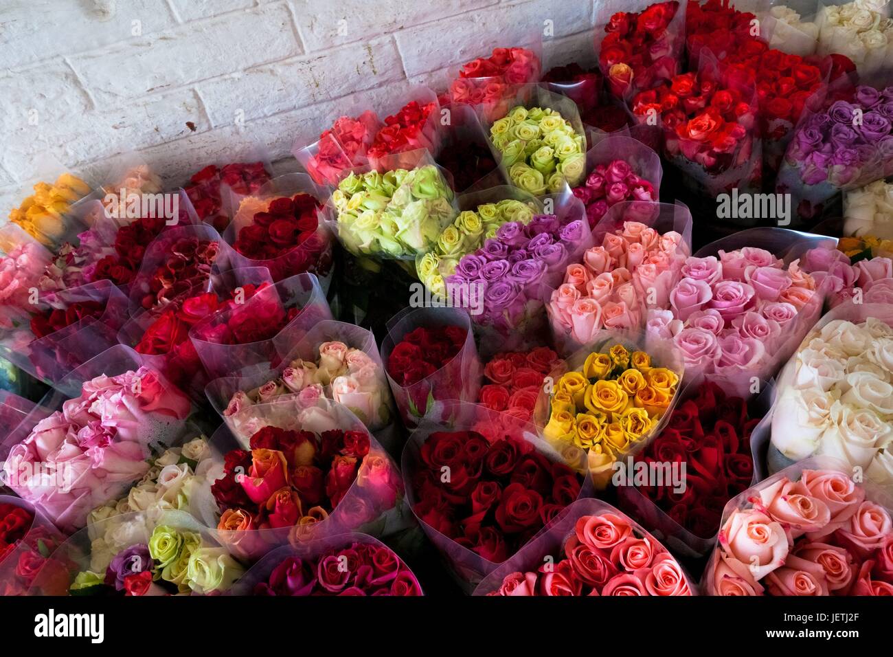 Розы оптом от производителя. Тонны цветов. Розы из Армении. Подмосковные розы оптом. 2 Тонны цветов.